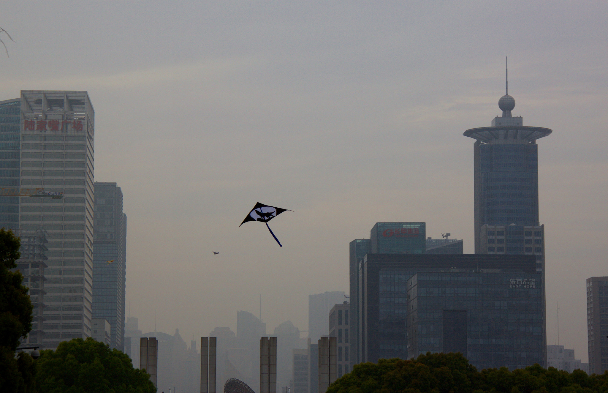 Canon EF-S 18-200mm F3.5-5.6 IS sample photo. Kite photography