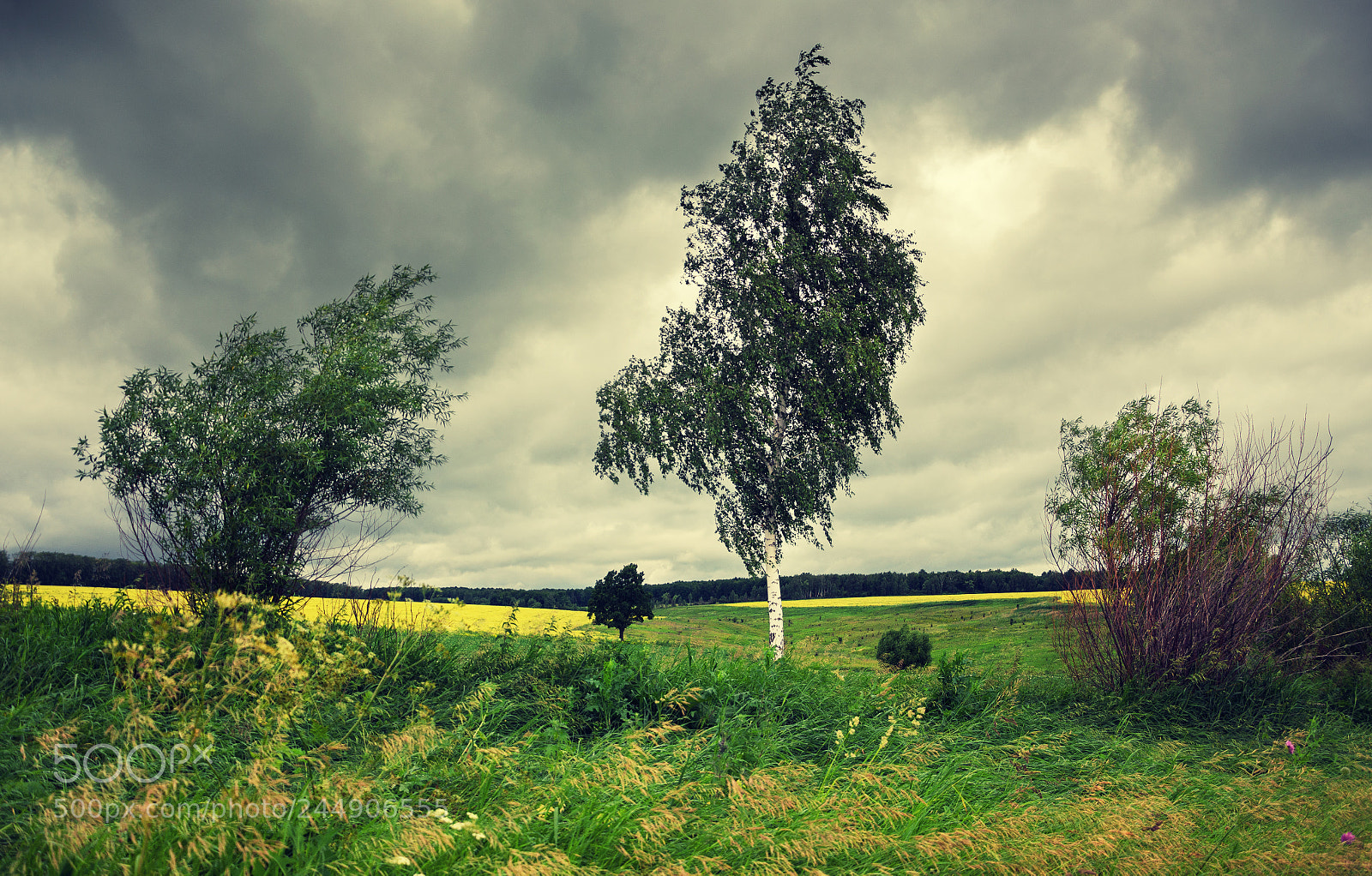 Nikon D5100 sample photo. Before the storm photography