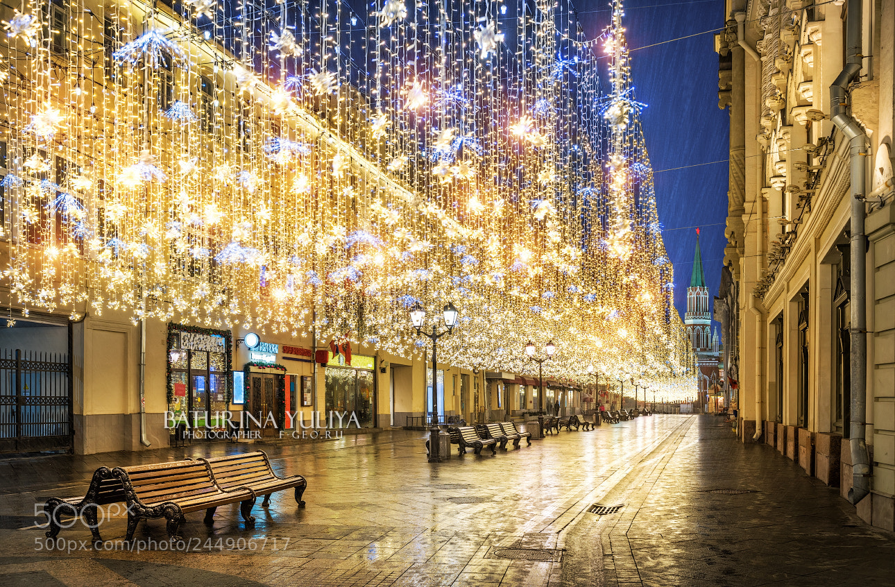 Nikon D800 sample photo. Golden rain of christmas photography
