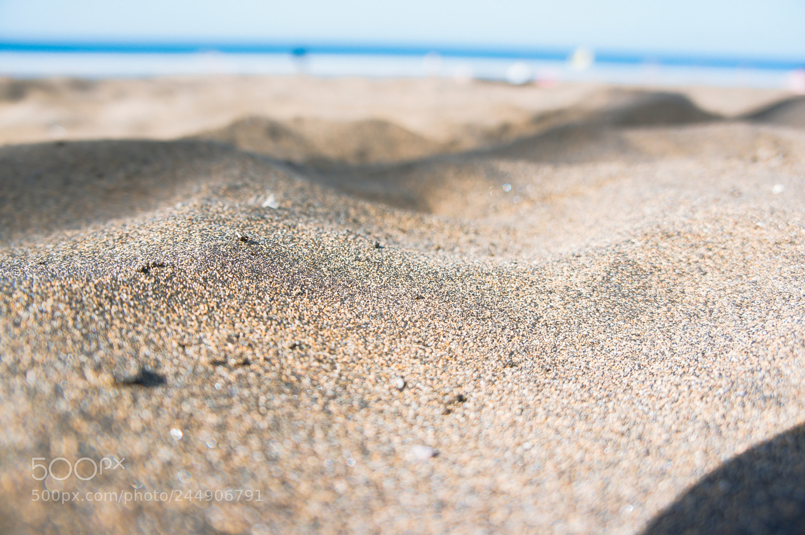 Sony Alpha NEX-5 sample photo. Microcosmos - mini dunes photography