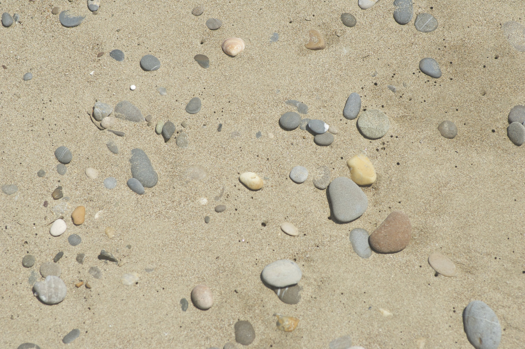 Nikon D2Xs sample photo. Pebbles on beach photography