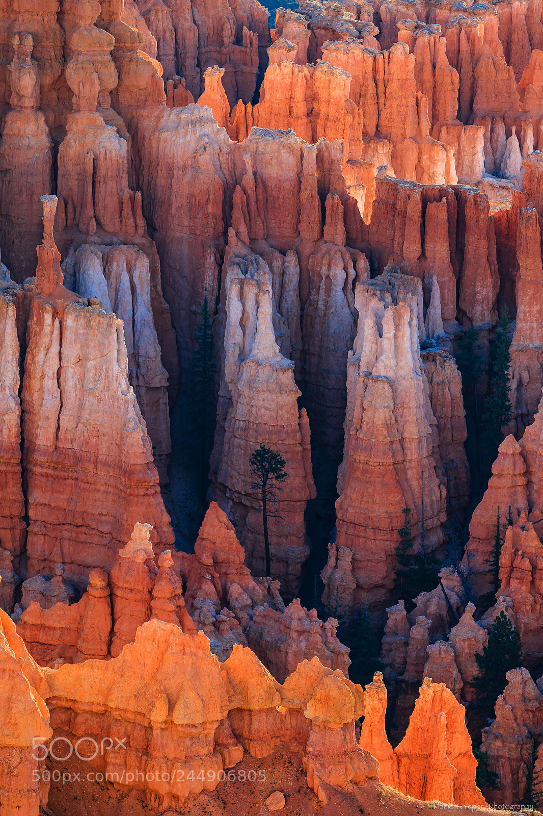 Canon EOS 7D Mark II sample photo. Bryce canyon photography