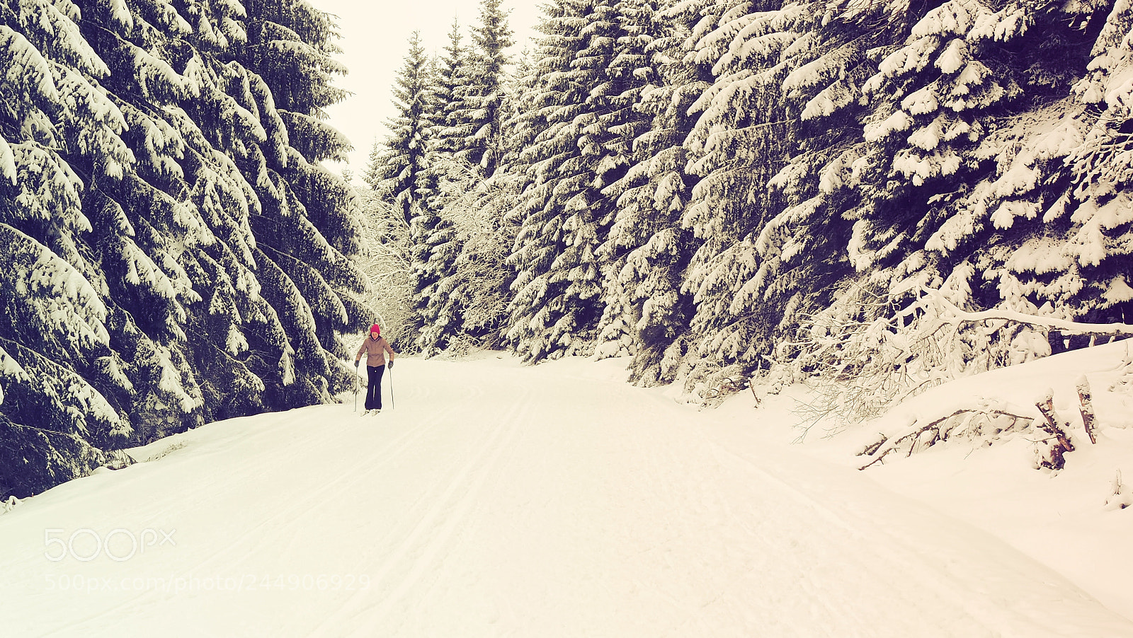 Olympus PEN-F sample photo. A skifahrerin photography