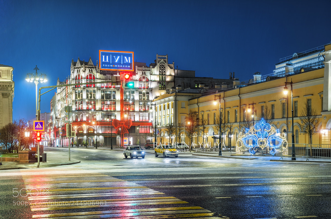 Nikon D800 sample photo. New year's  decoration photography