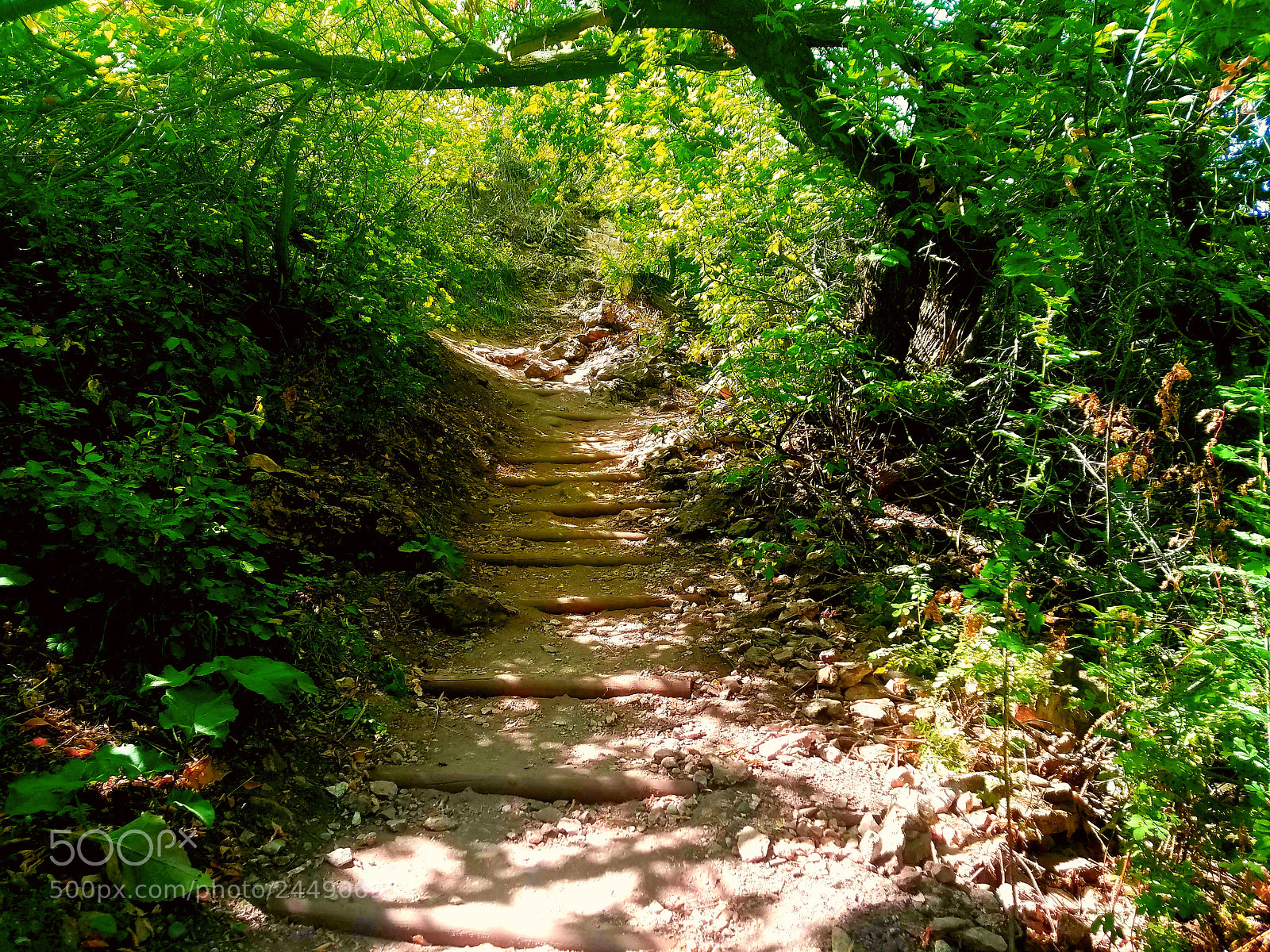 Samsung Galaxy S7 sample photo. Gorgeous trail photography