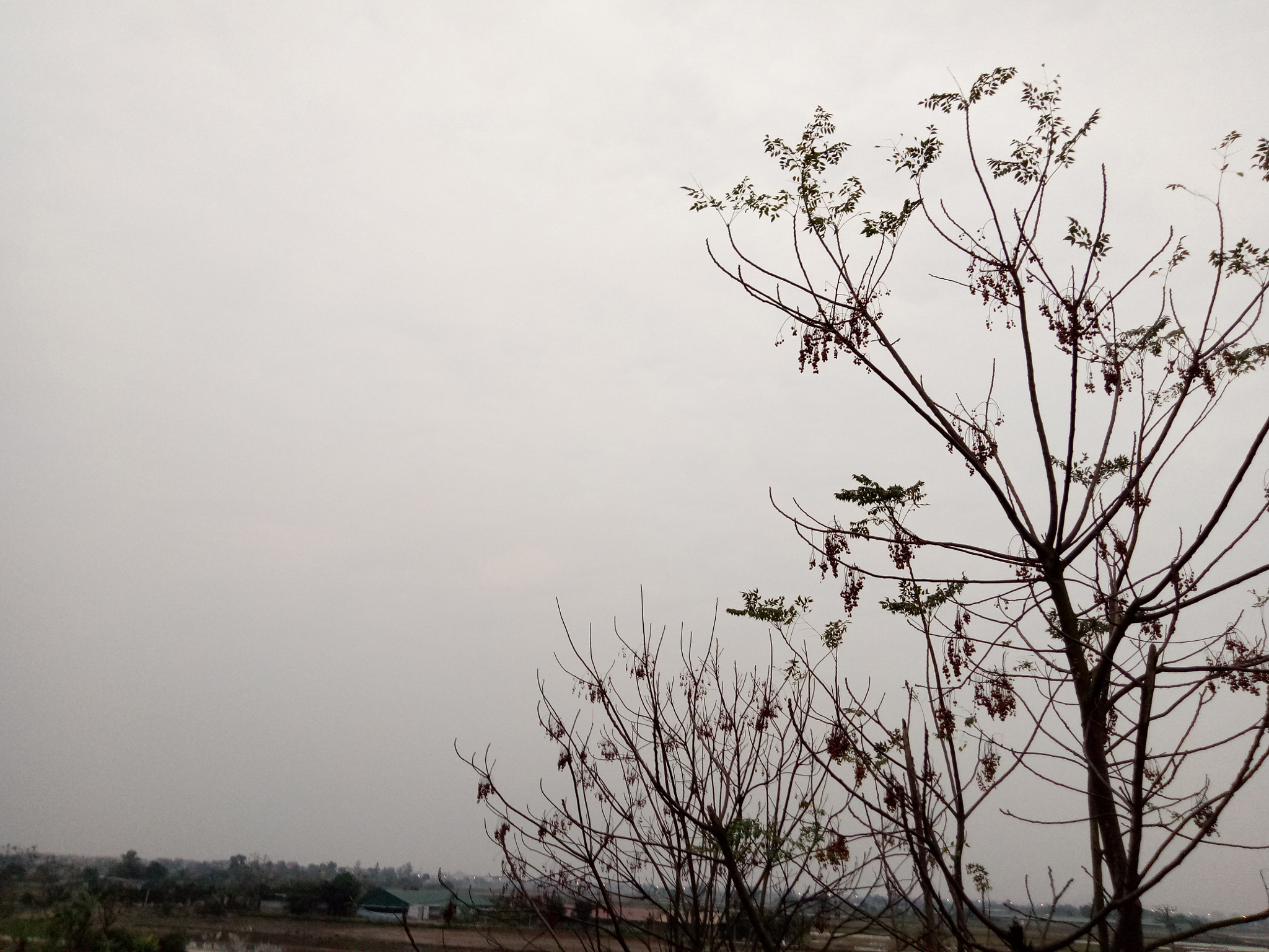 OPPO CPH1609 sample photo