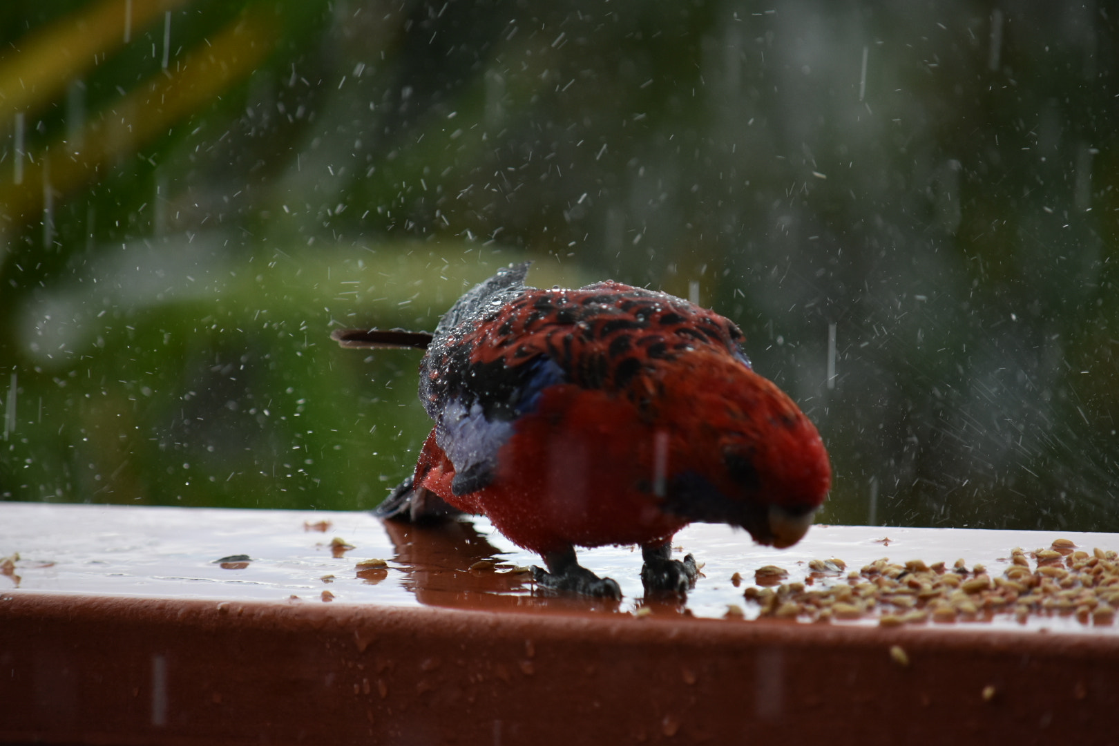 Nikon D3400 sample photo