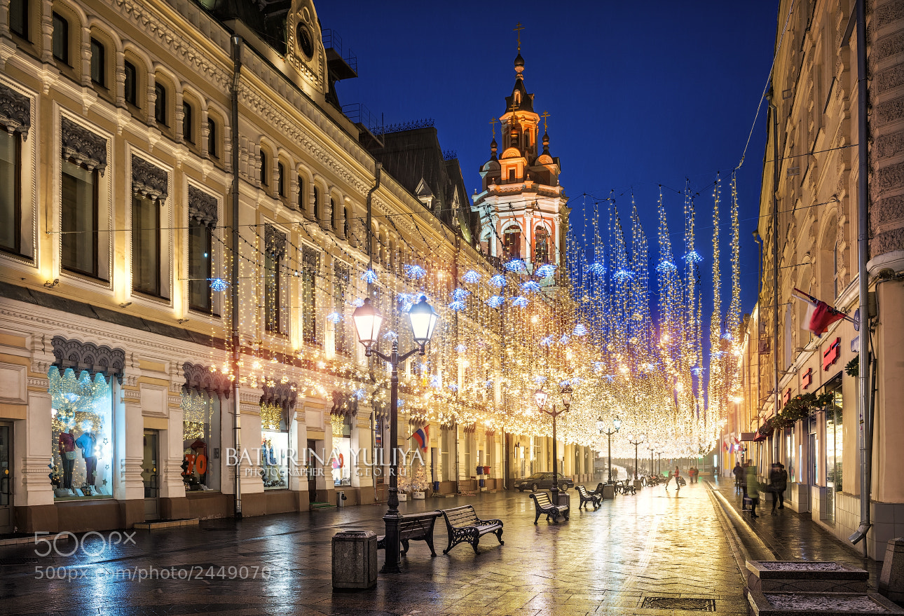 Nikon D800 sample photo. Golden rain of christmas photography