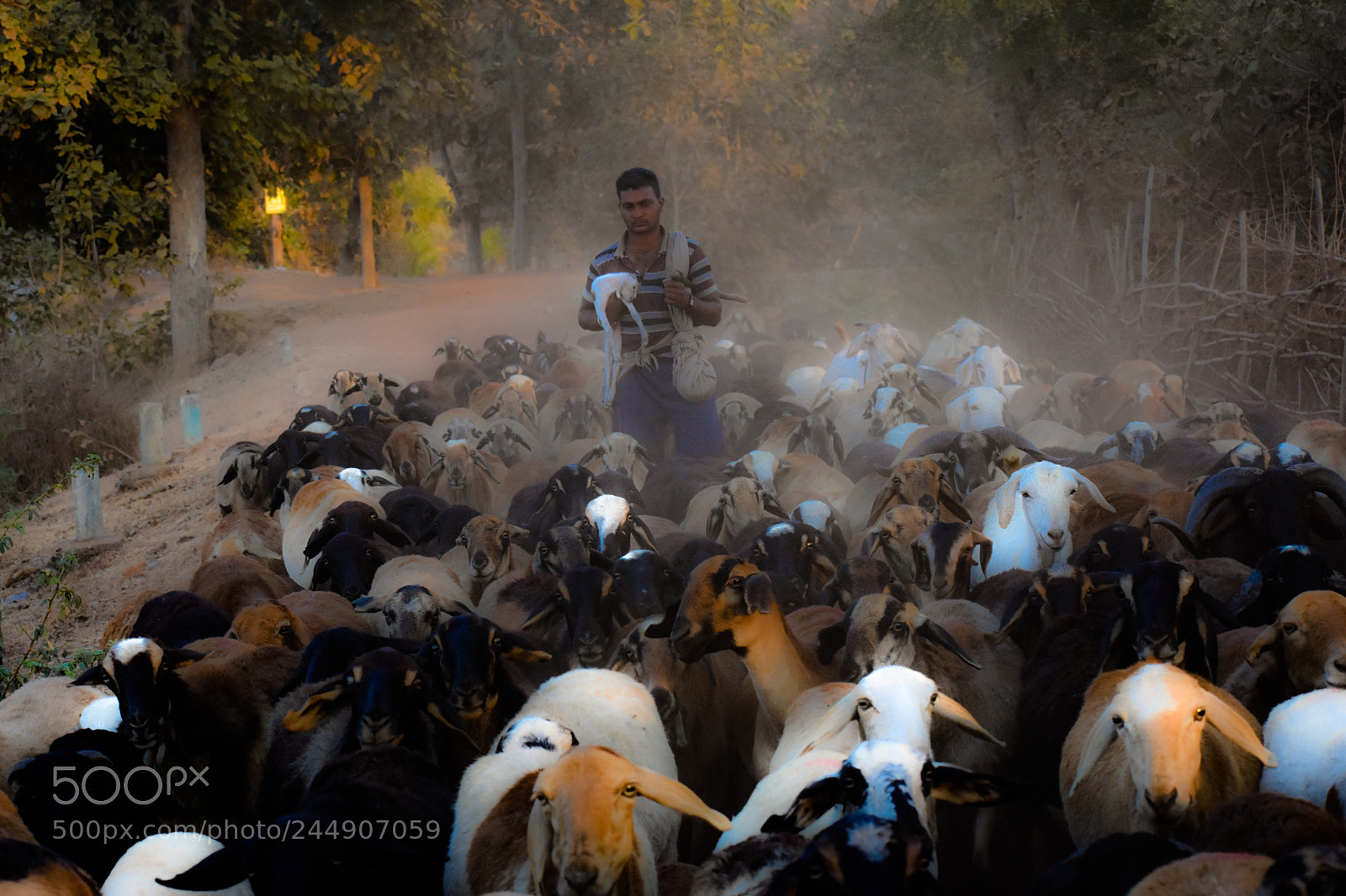 Nikon D3400 sample photo. Farmer.!!! photography