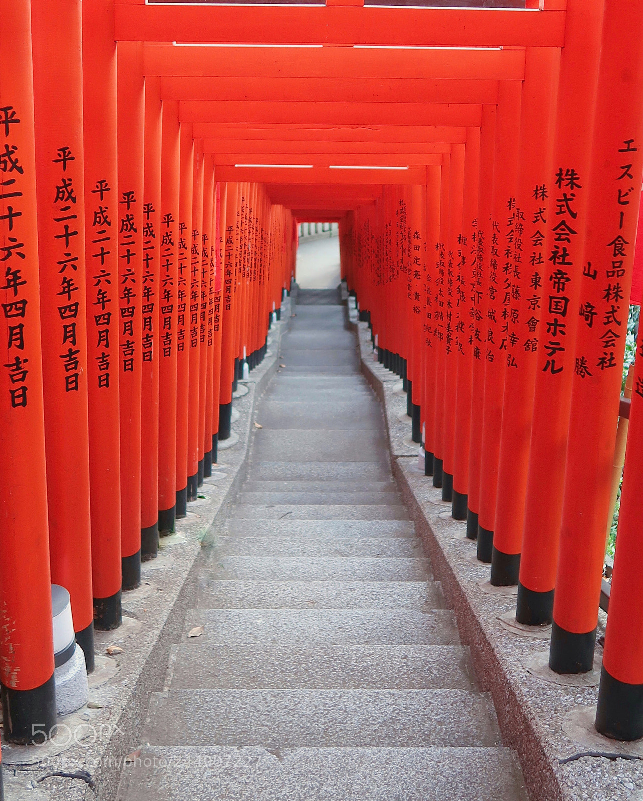 Canon PowerShot G7 X Mark II sample photo. Japanese tori, japan is photography