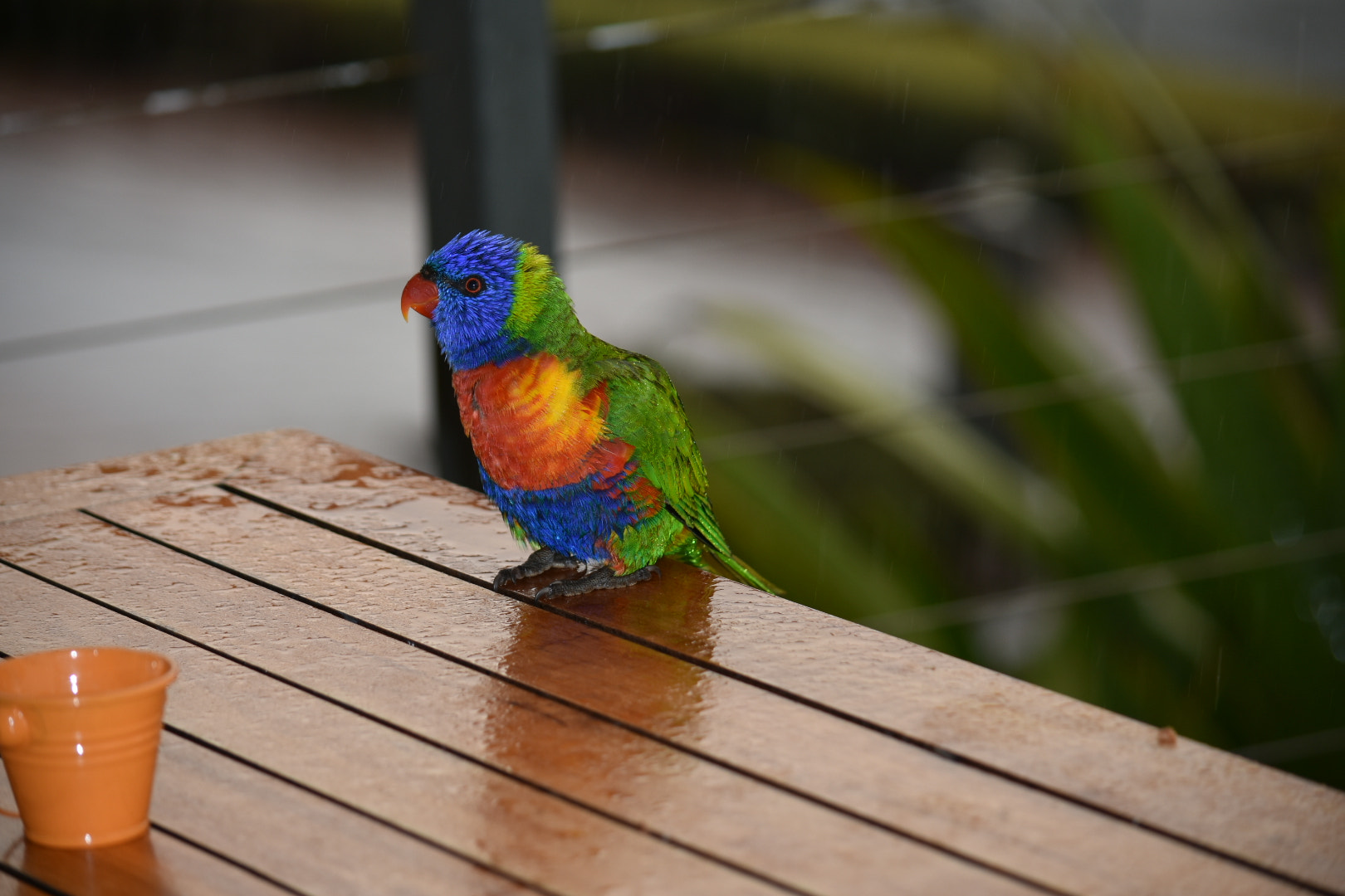 Nikon D3400 sample photo