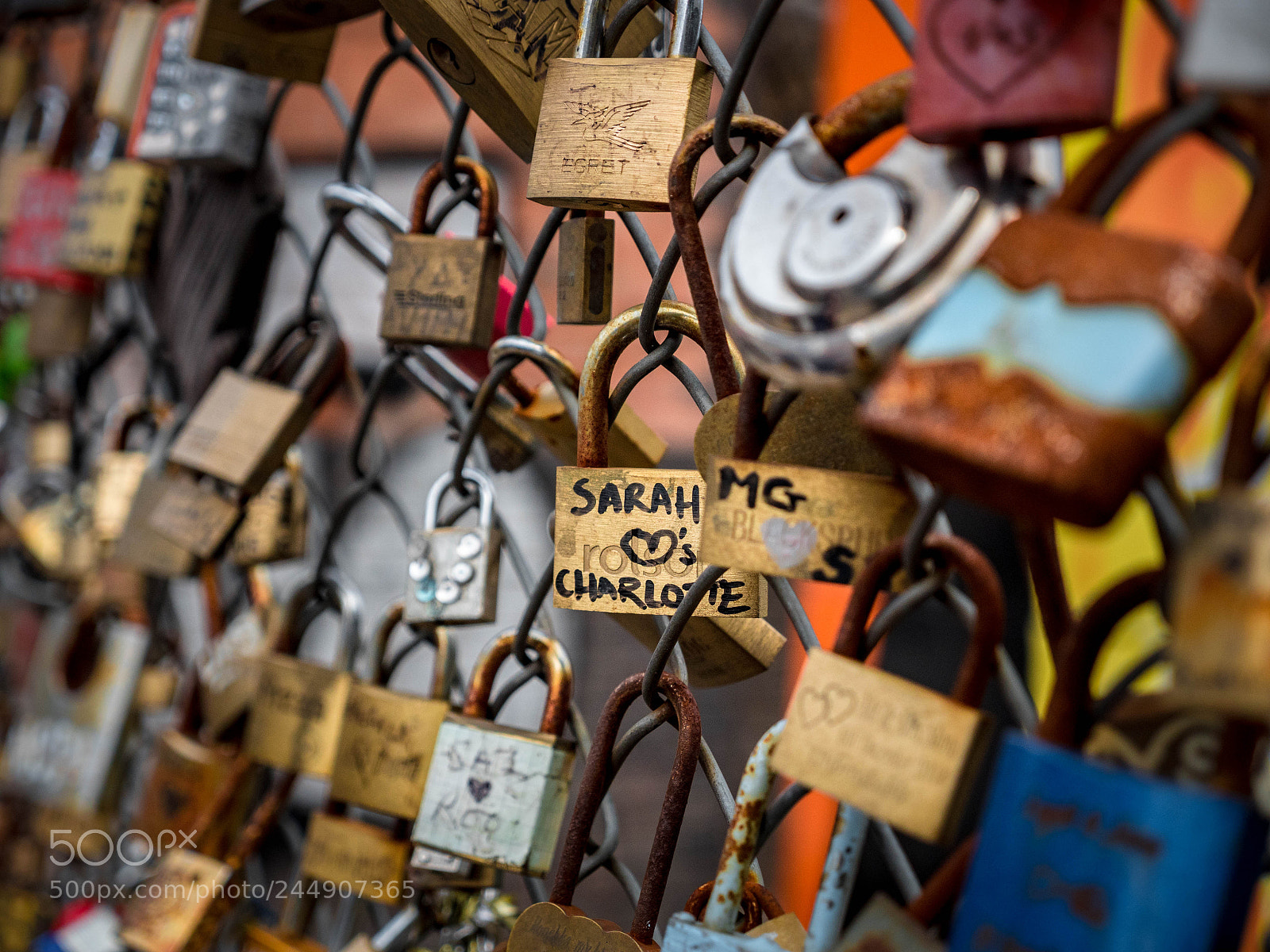 Panasonic Lumix DMC-GH4 sample photo. Sarah loves charlotte! photography