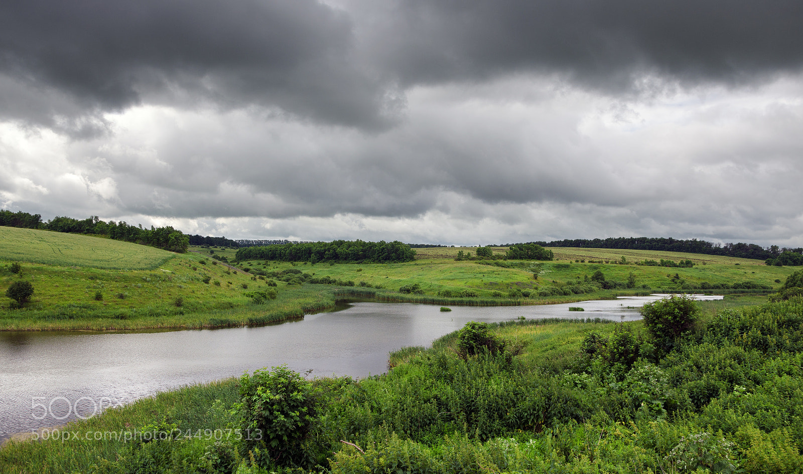 Nikon D5100 sample photo. Rainy season photography