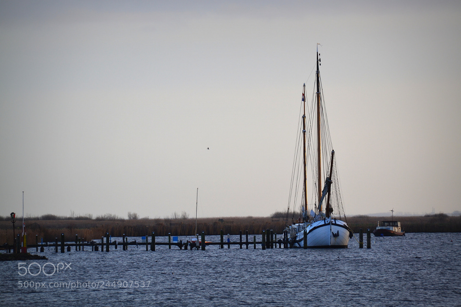 Nikon D3100 sample photo. Prends la voile photography