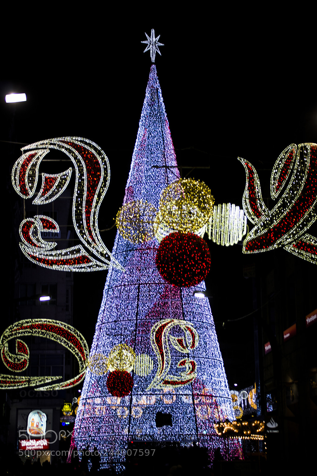 Canon EOS 60D sample photo. Vigo's tree 17 photography