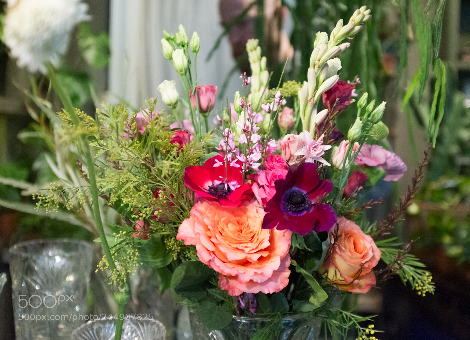 Fujifilm X100S sample photo. Dsf photography