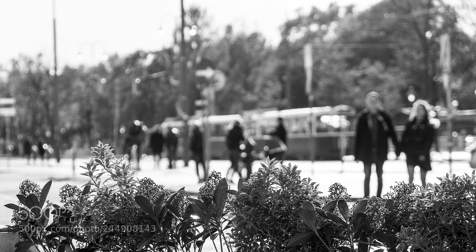 Fujifilm X-T1 sample photo. The tram station photography