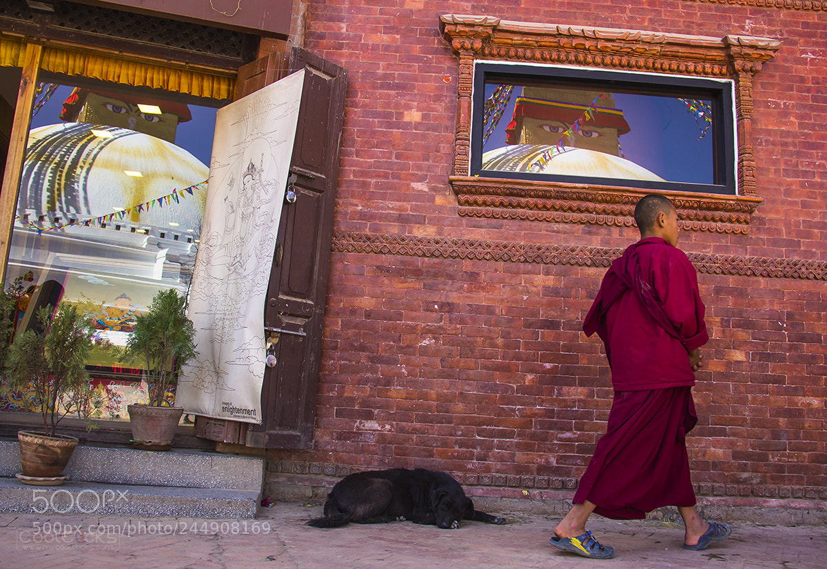 Canon EOS 60D sample photo. Reflections & little monk photography