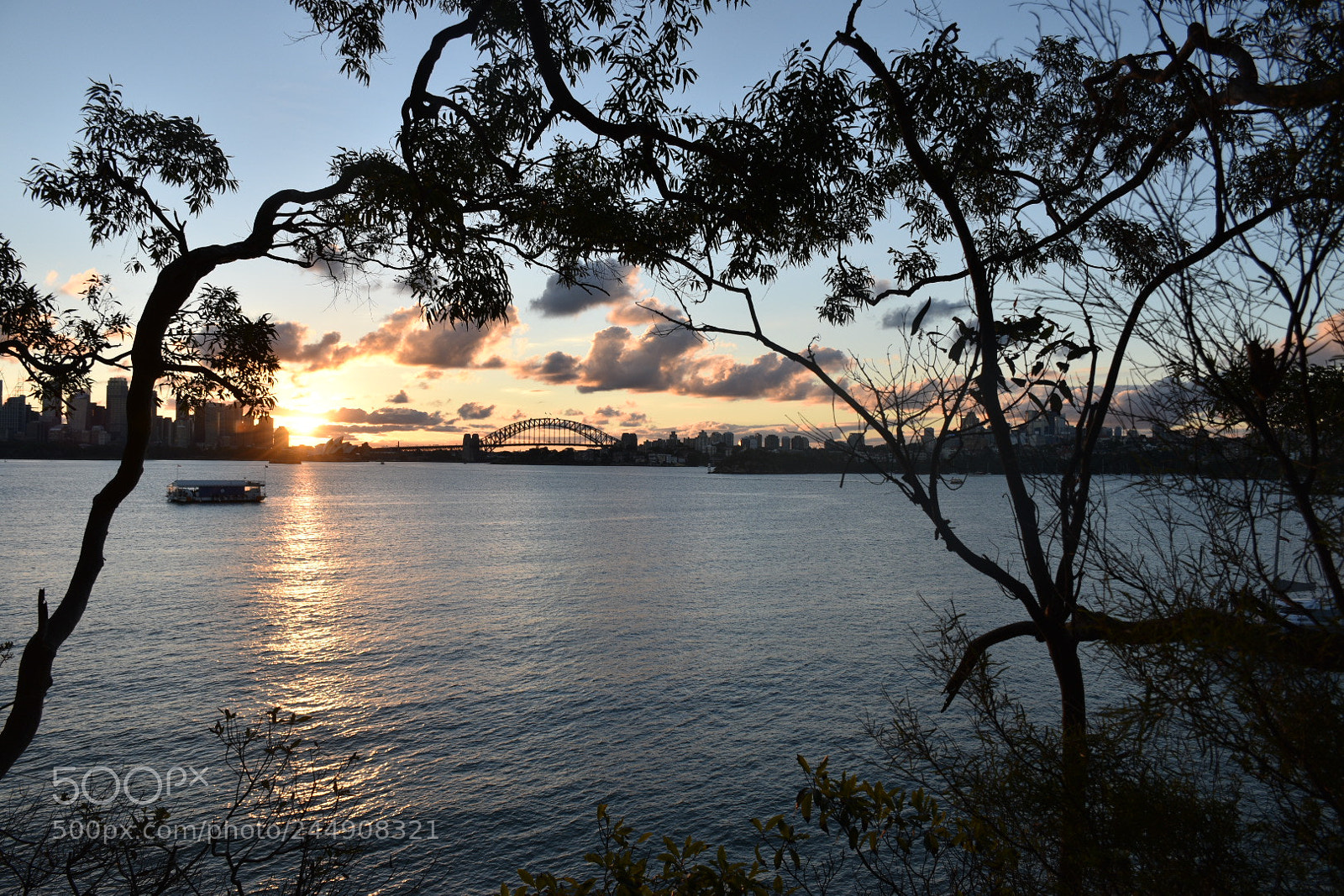 Nikon D5600 sample photo. Untitled photography