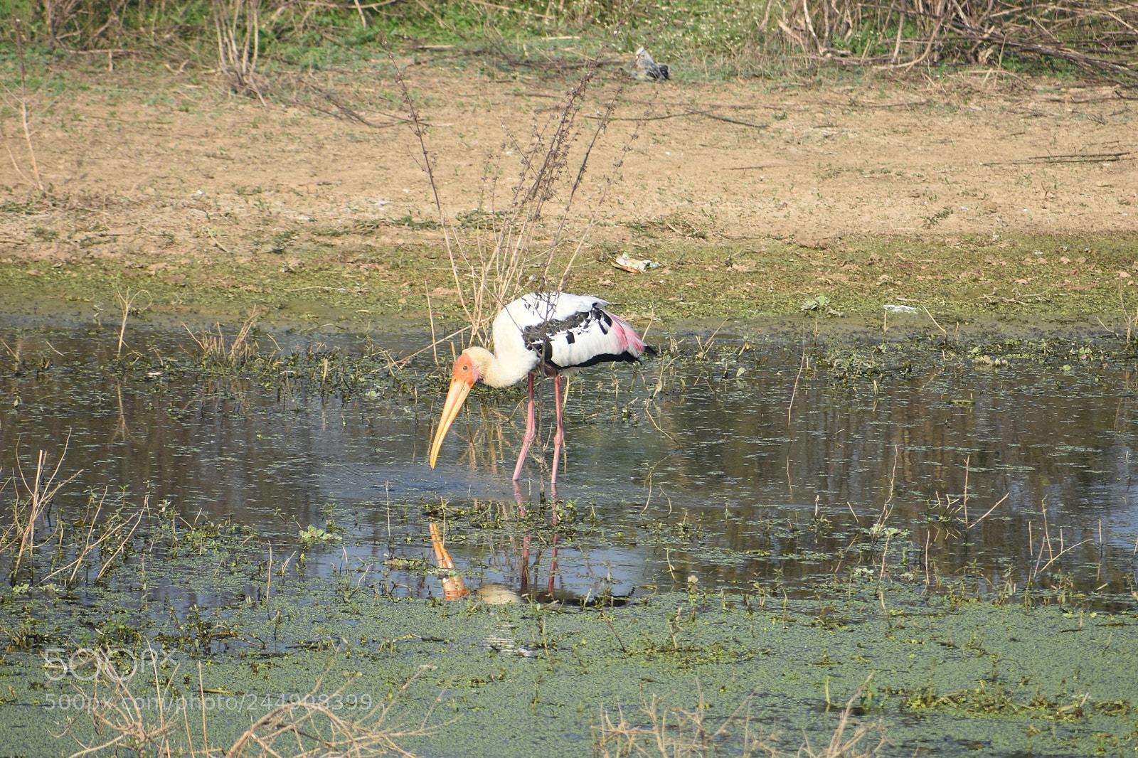 Nikon D3400 sample photo. Dsc photography