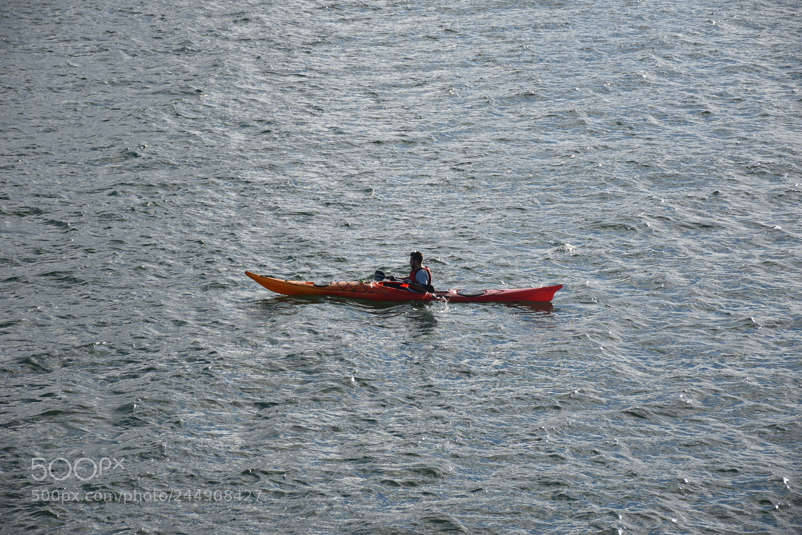 Nikon D5600 sample photo. Untitled photography