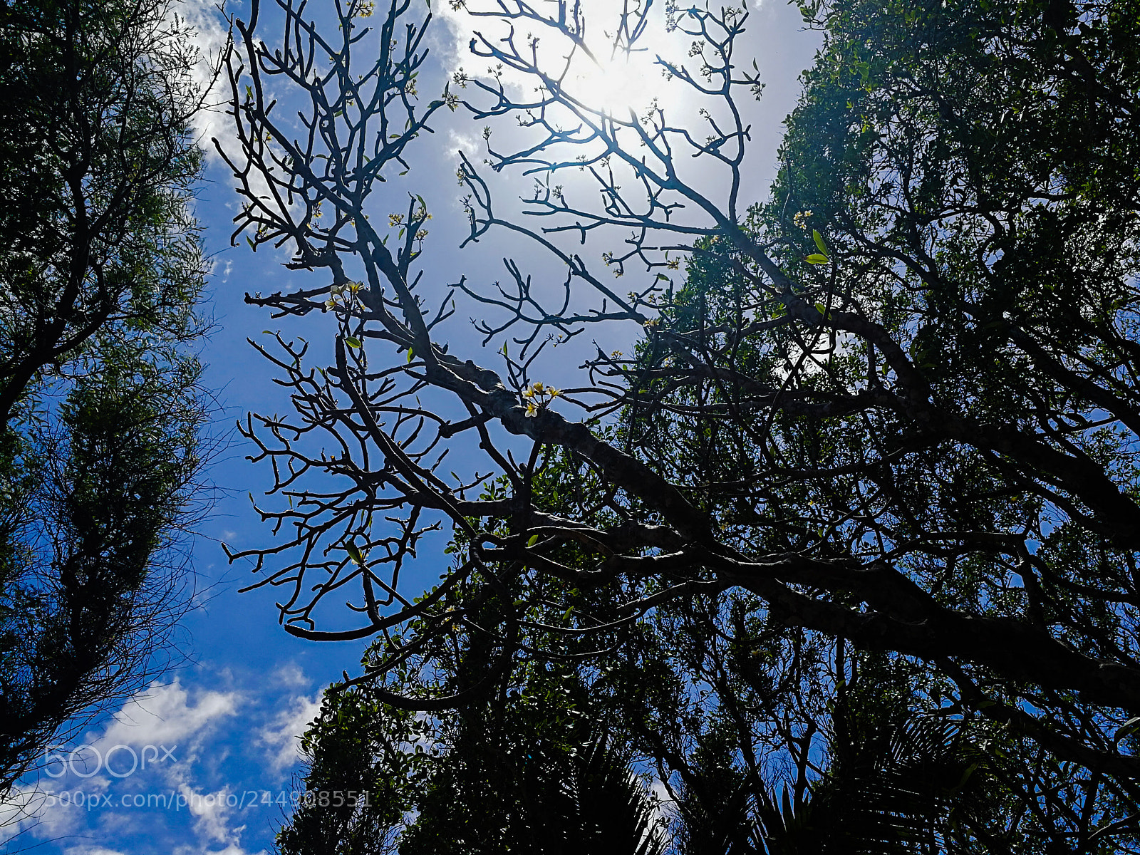 HUAWEI Mate 9 sample photo. Untitled photography