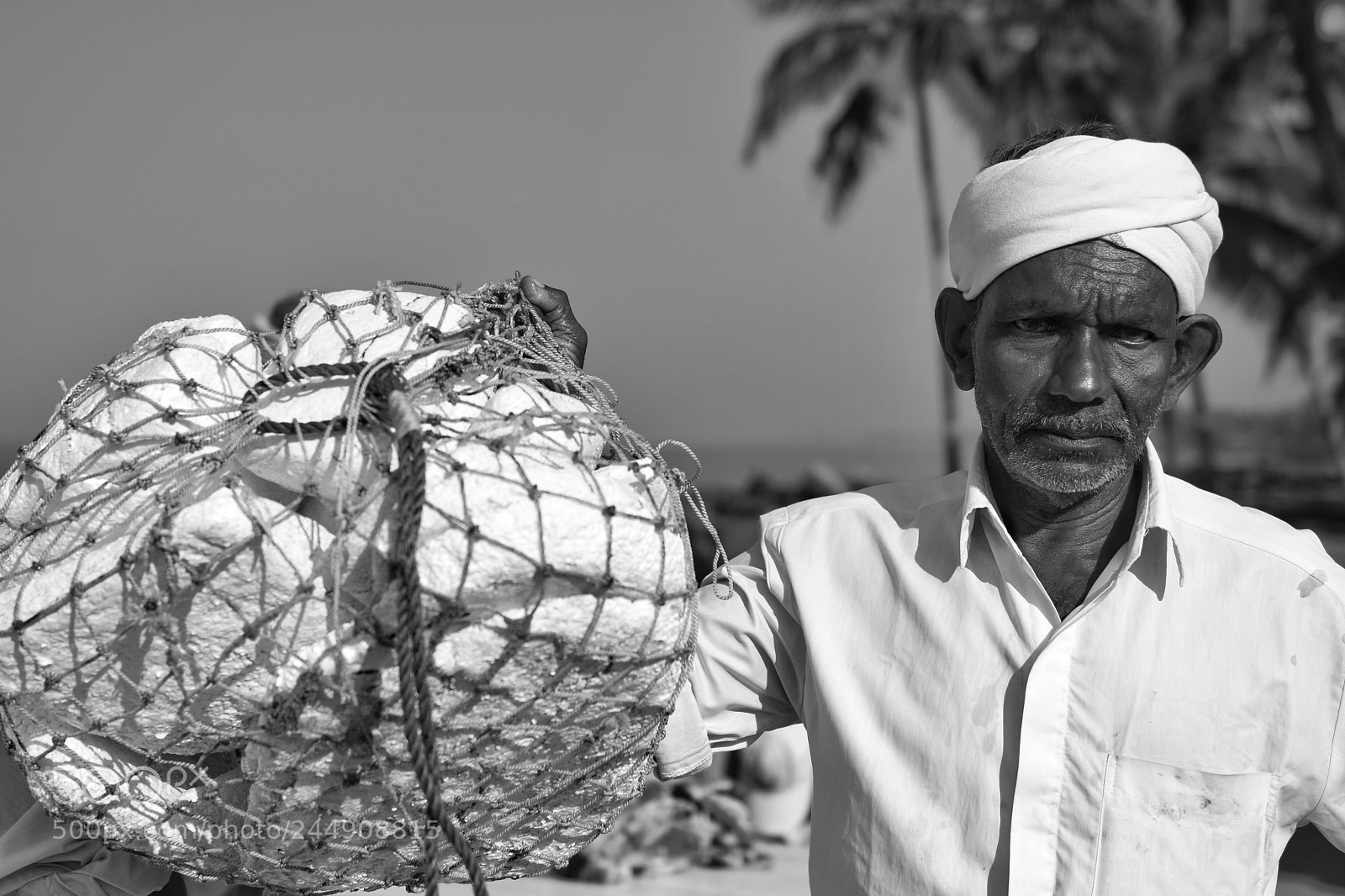 Nikon D500 sample photo. Fisherman in india, kerala photography