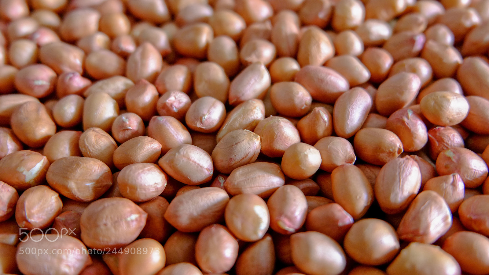 Fujifilm X-E1 sample photo. Peanut background photography