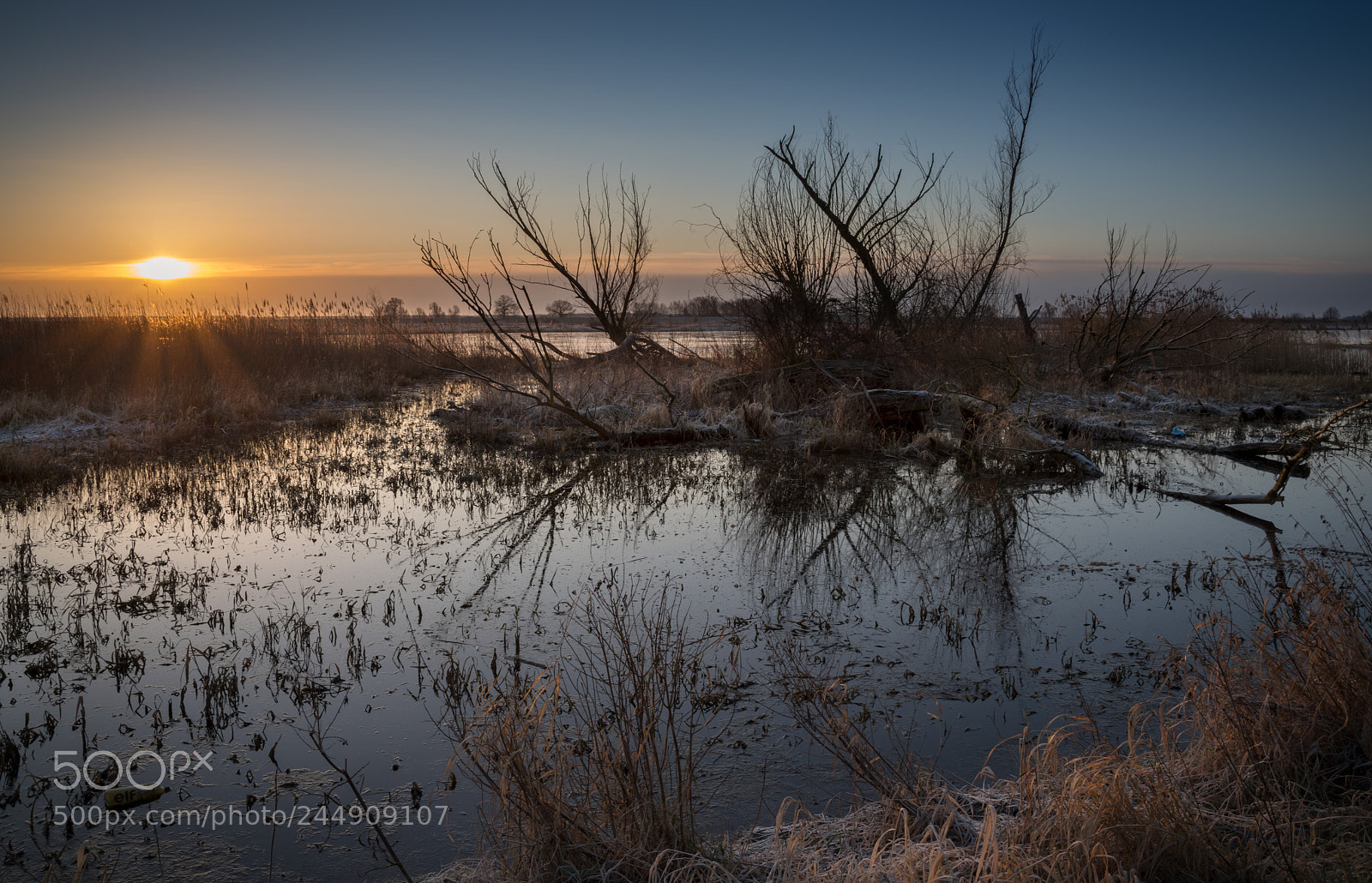 Pentax K-1 sample photo. River oder landscape photography