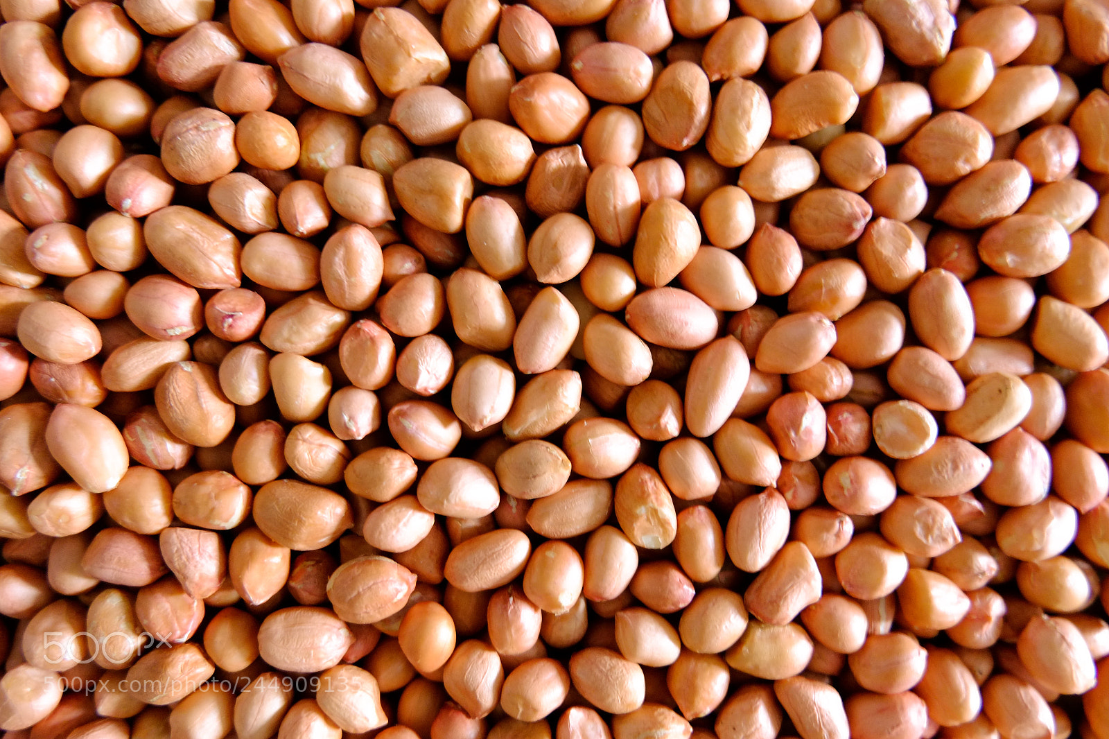 Fujifilm X-E1 sample photo. Peanut background photography