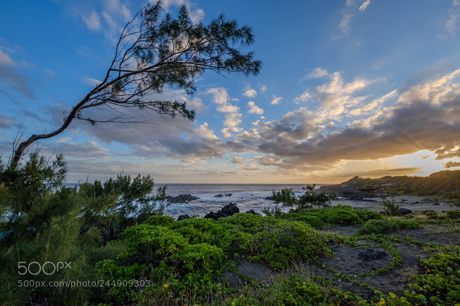 Fujifilm X-T2 sample photo. Wild beach at sunset photography