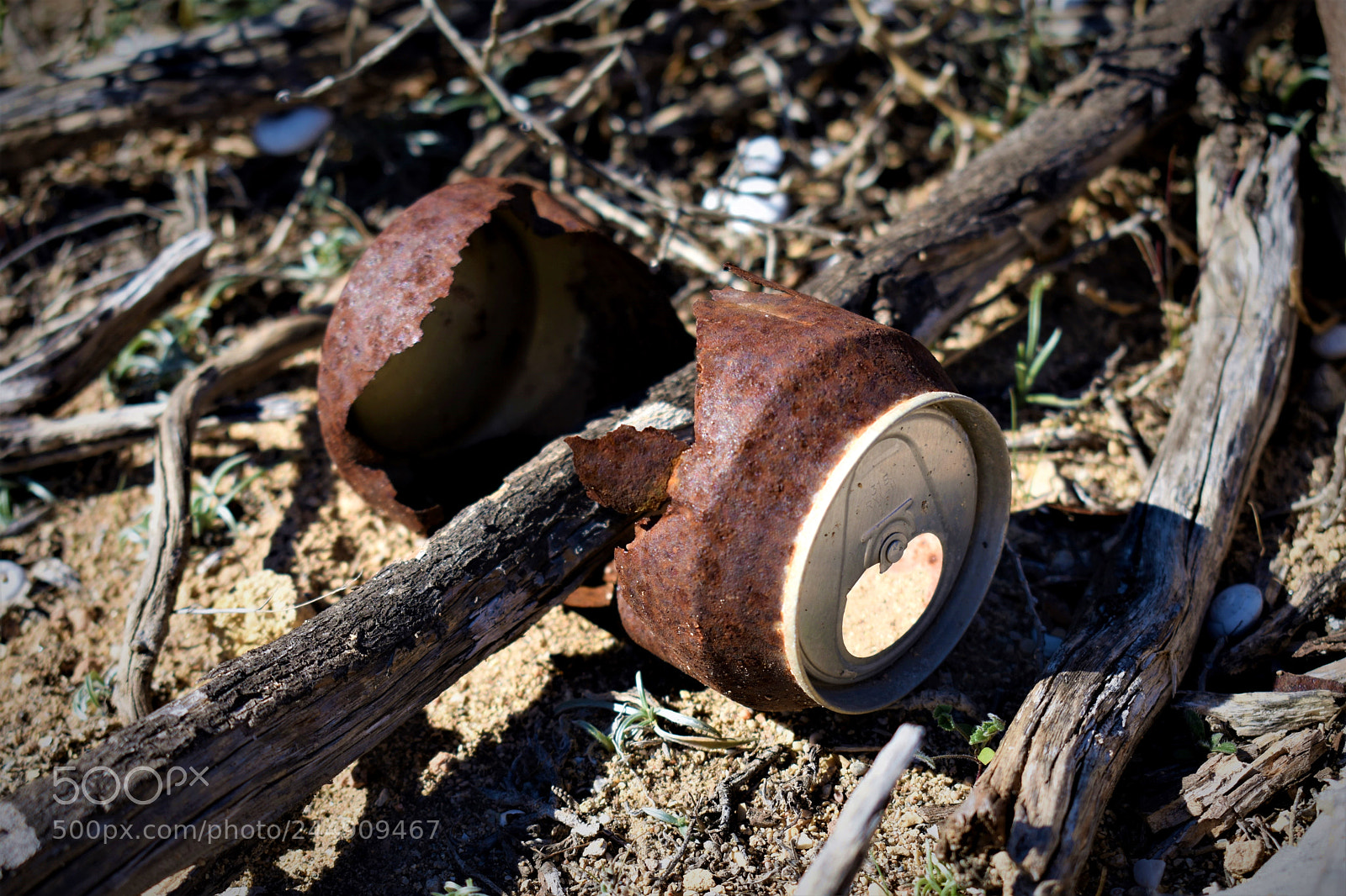 Nikon D3400 sample photo. Rusty can photography