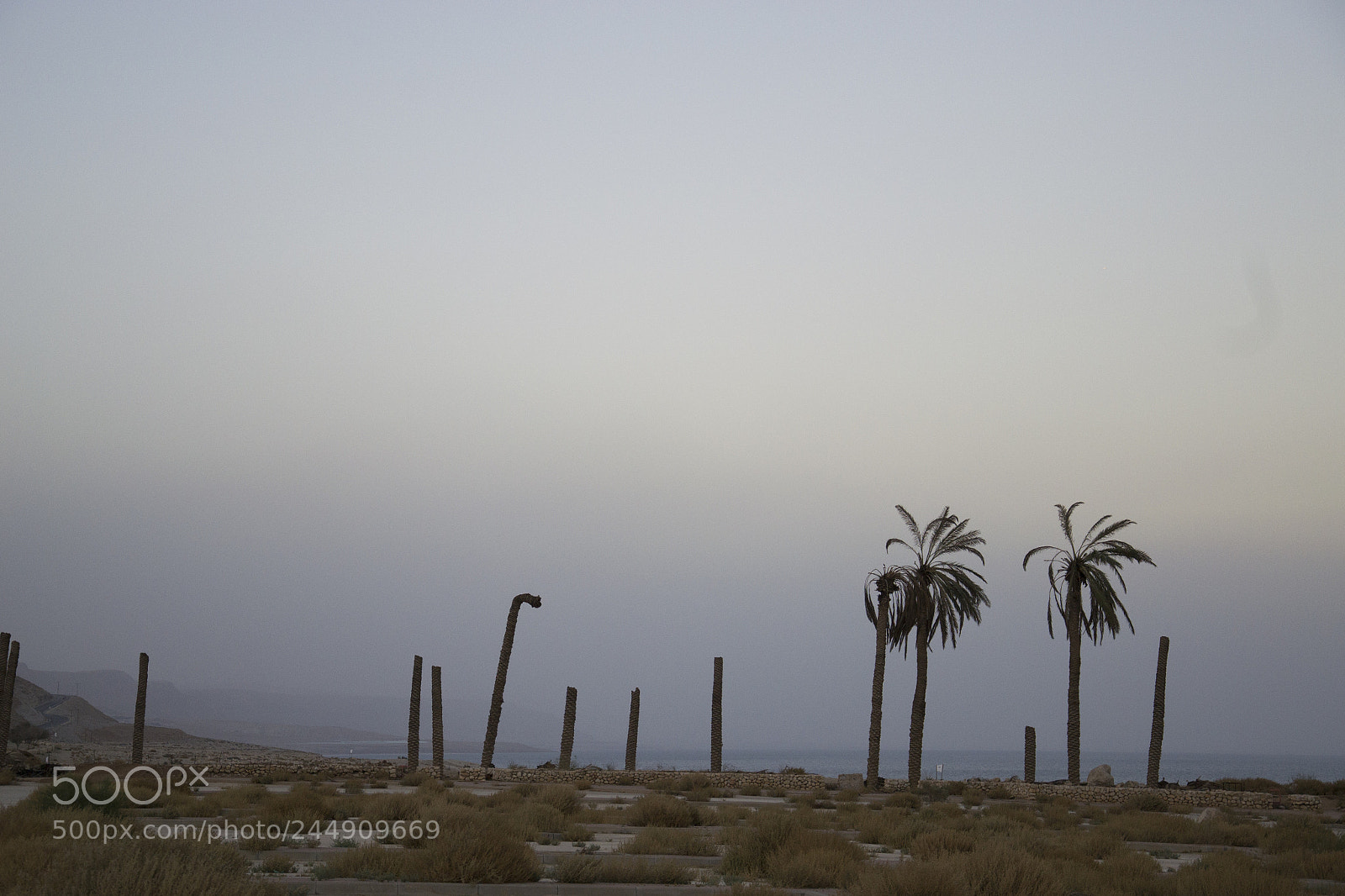 Nikon D3100 sample photo. Abandoned beach near dead photography