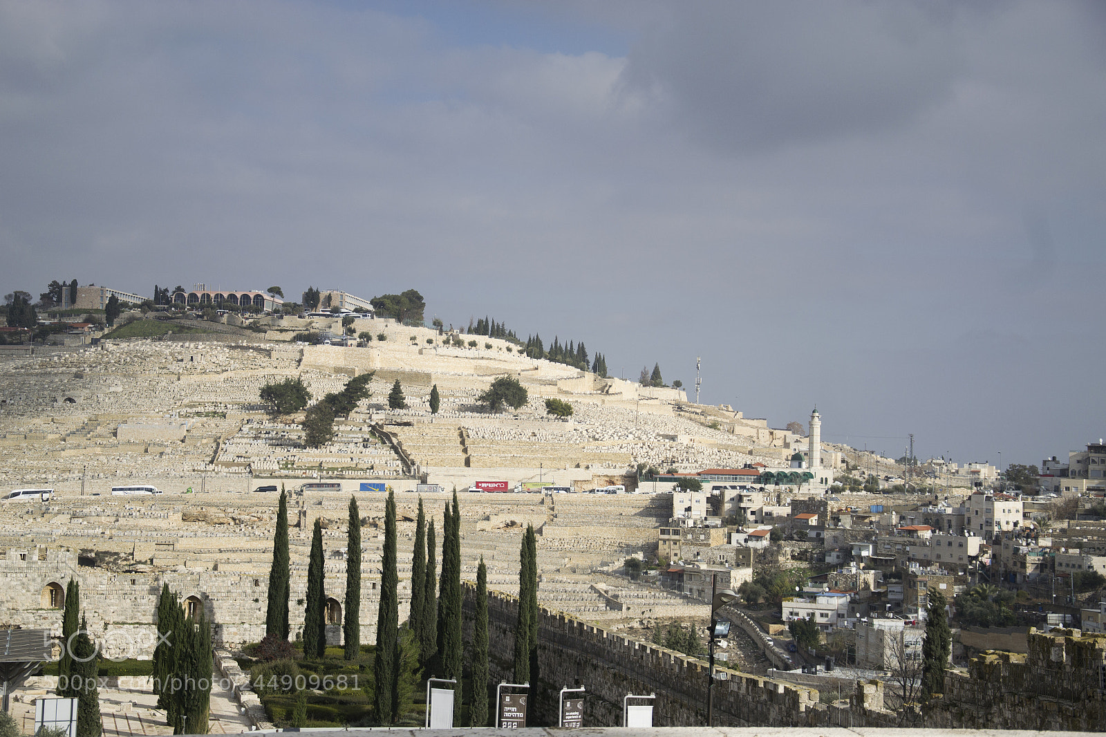 Nikon D3100 sample photo. Olive mountain, jerusalem photography