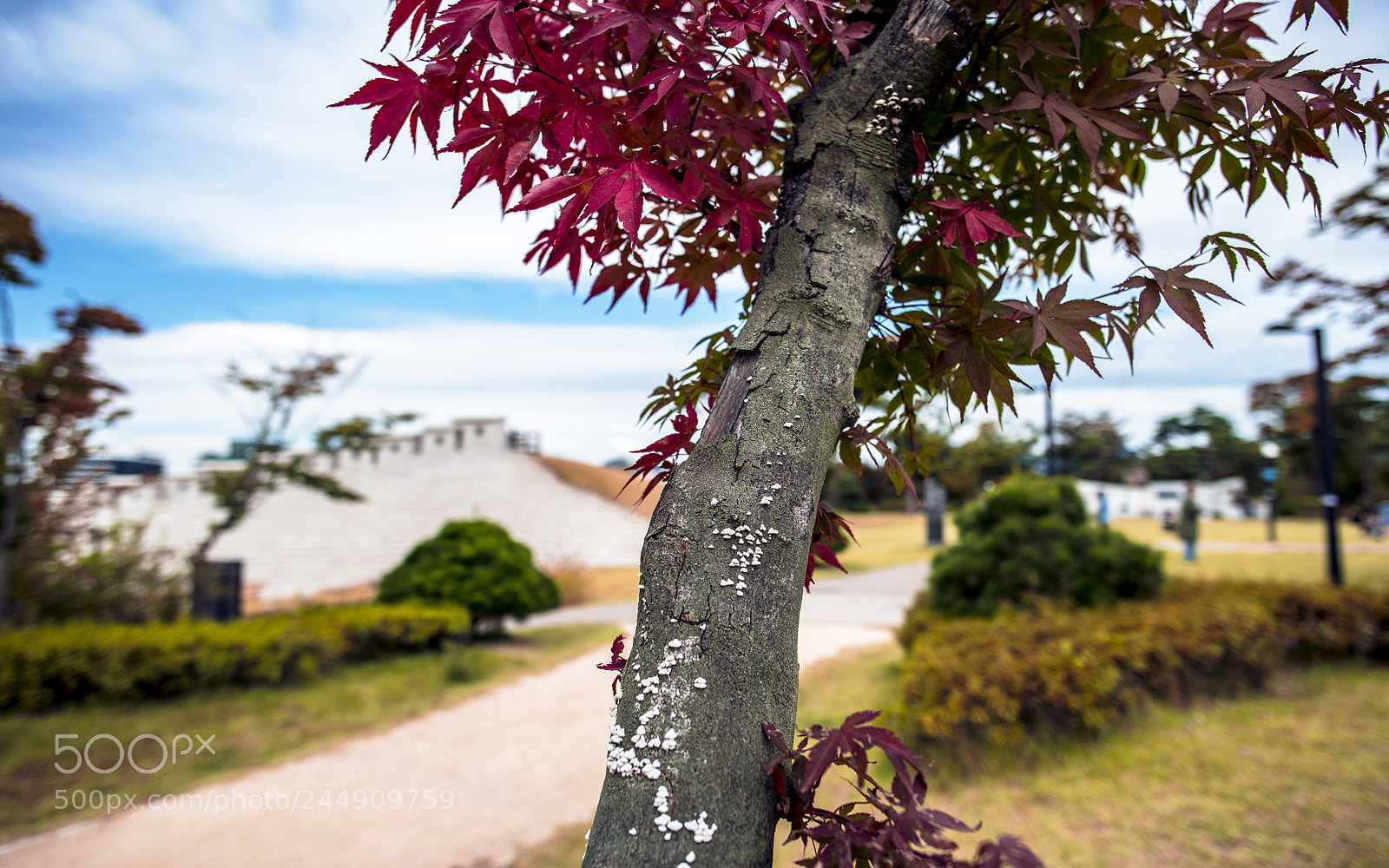 Nikon D850 sample photo. Untitled photography
