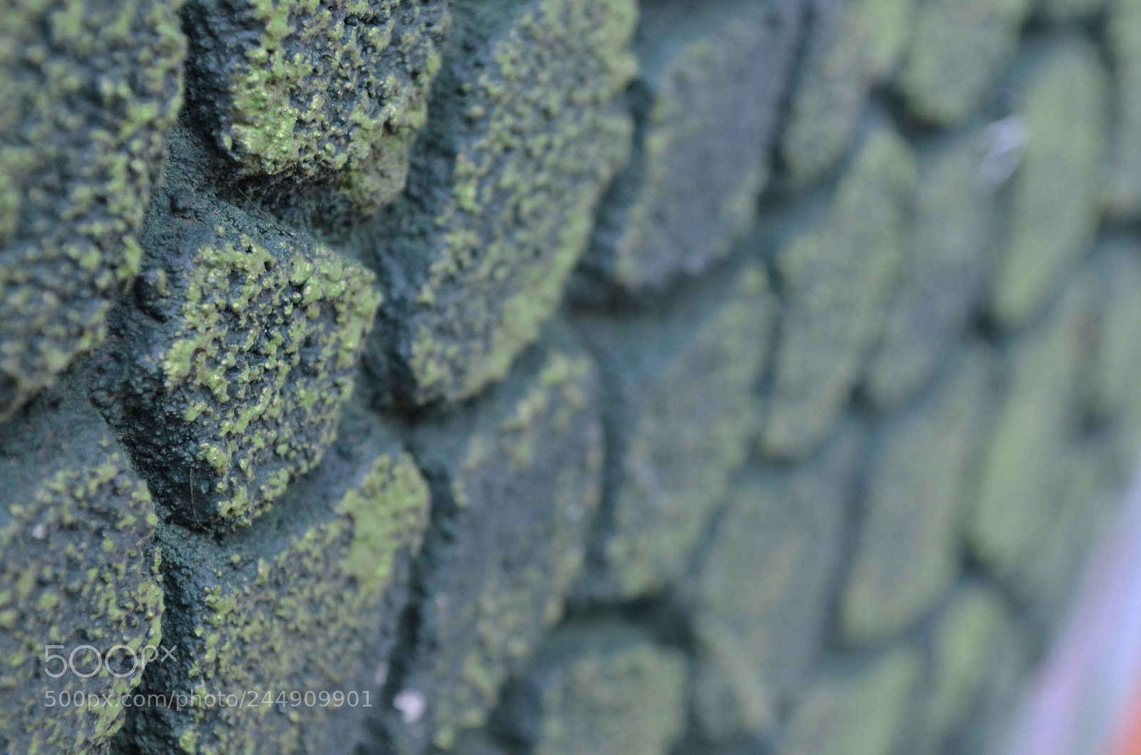 Nikon D5100 sample photo. Wall texture photography
