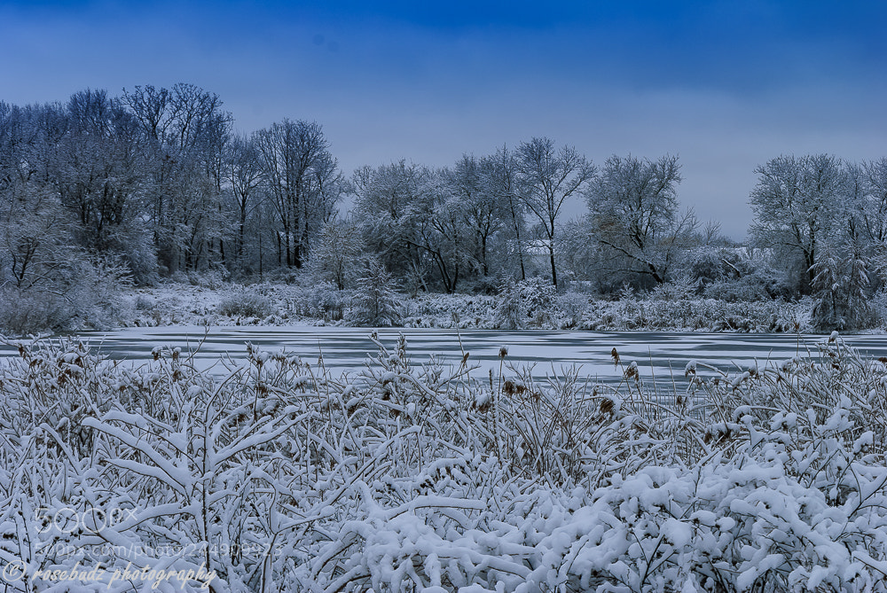 Nikon D60 sample photo. Winter day ii photography
