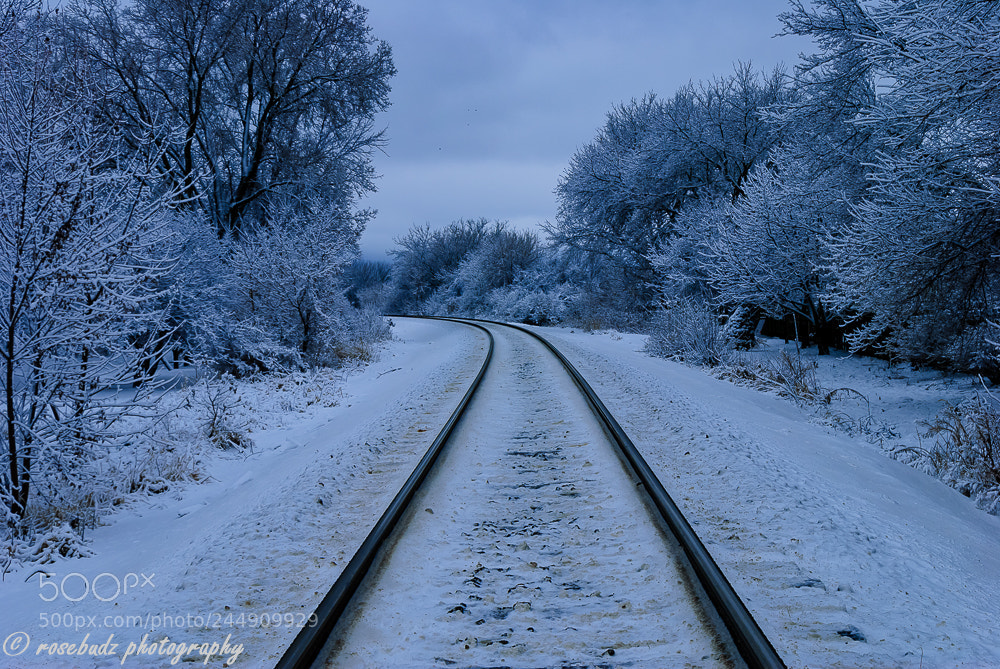 Nikon D60 sample photo. Winter day ii photography