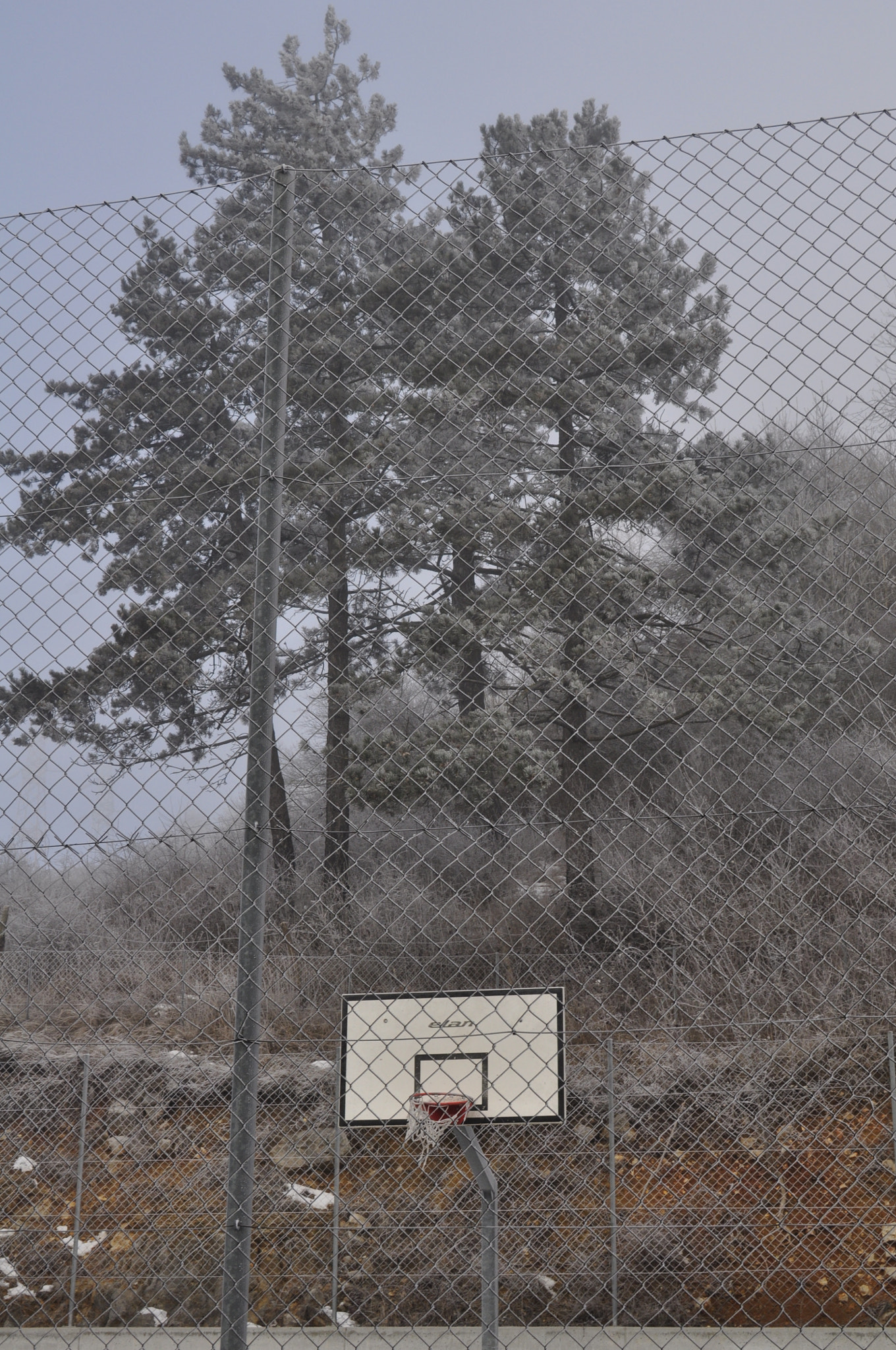 Nikon AF-S DX Nikkor 35mm F1.8G sample photo. Basket photography