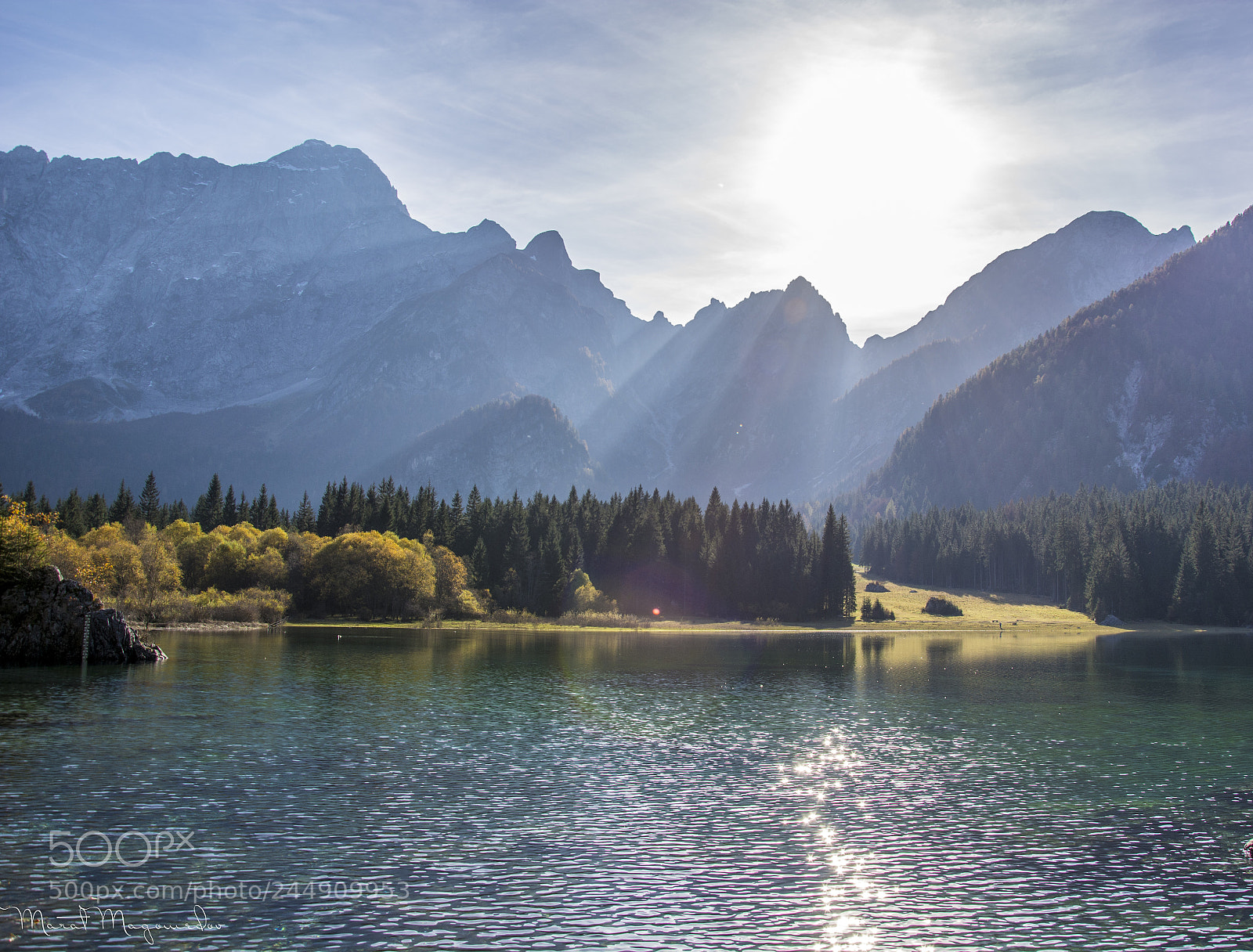 Nikon D7100 sample photo. Sunlight photography