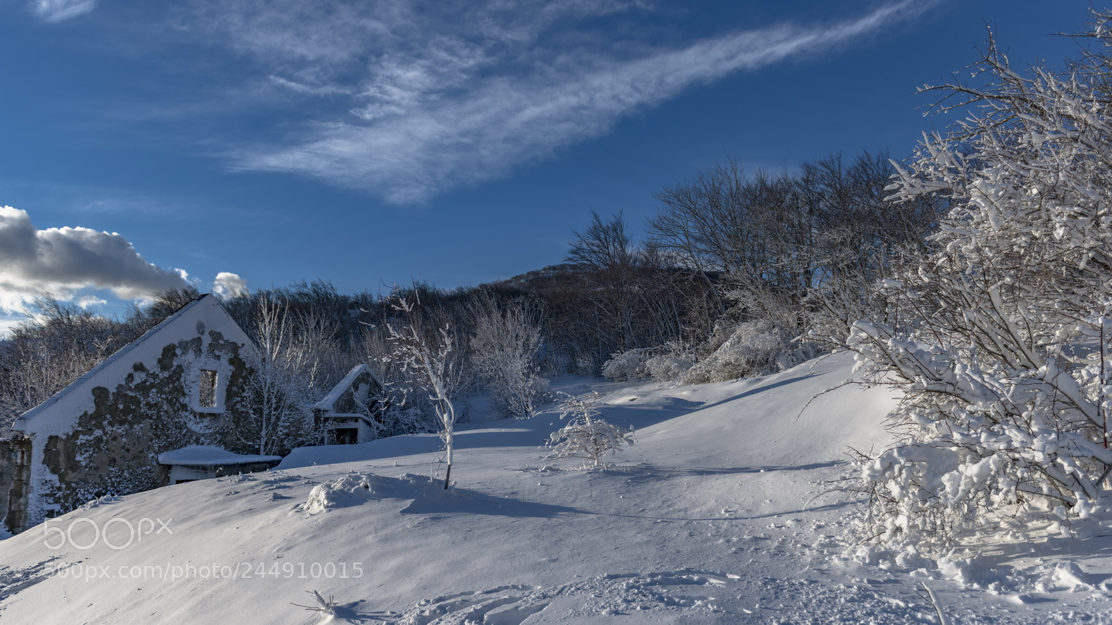 Nikon D800E sample photo. Snow photography