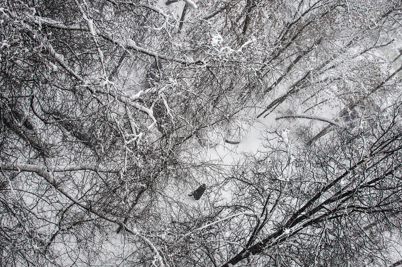 Nikon D5000 sample photo. Finally, winter is here photography