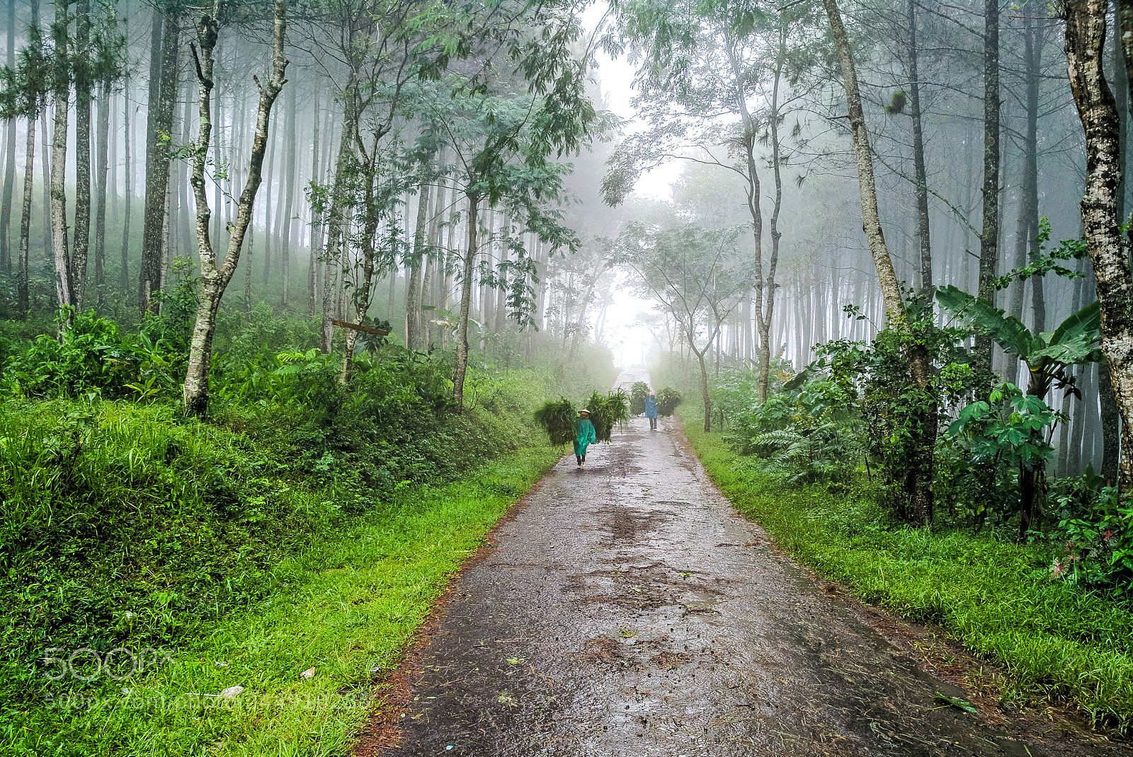 Xiaomi MI MAX 2 sample photo. Untitled photography