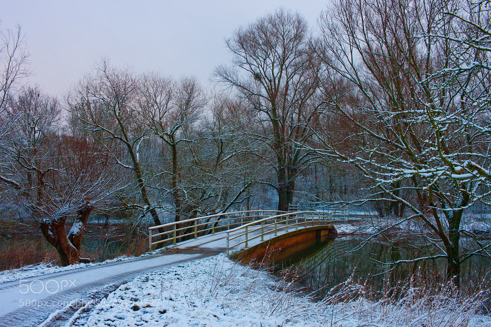 Canon EOS 40D sample photo. Img photography