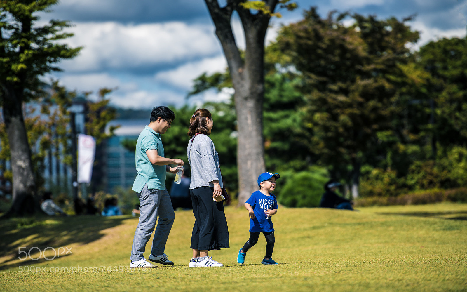 Nikon D850 sample photo. Untitled photography