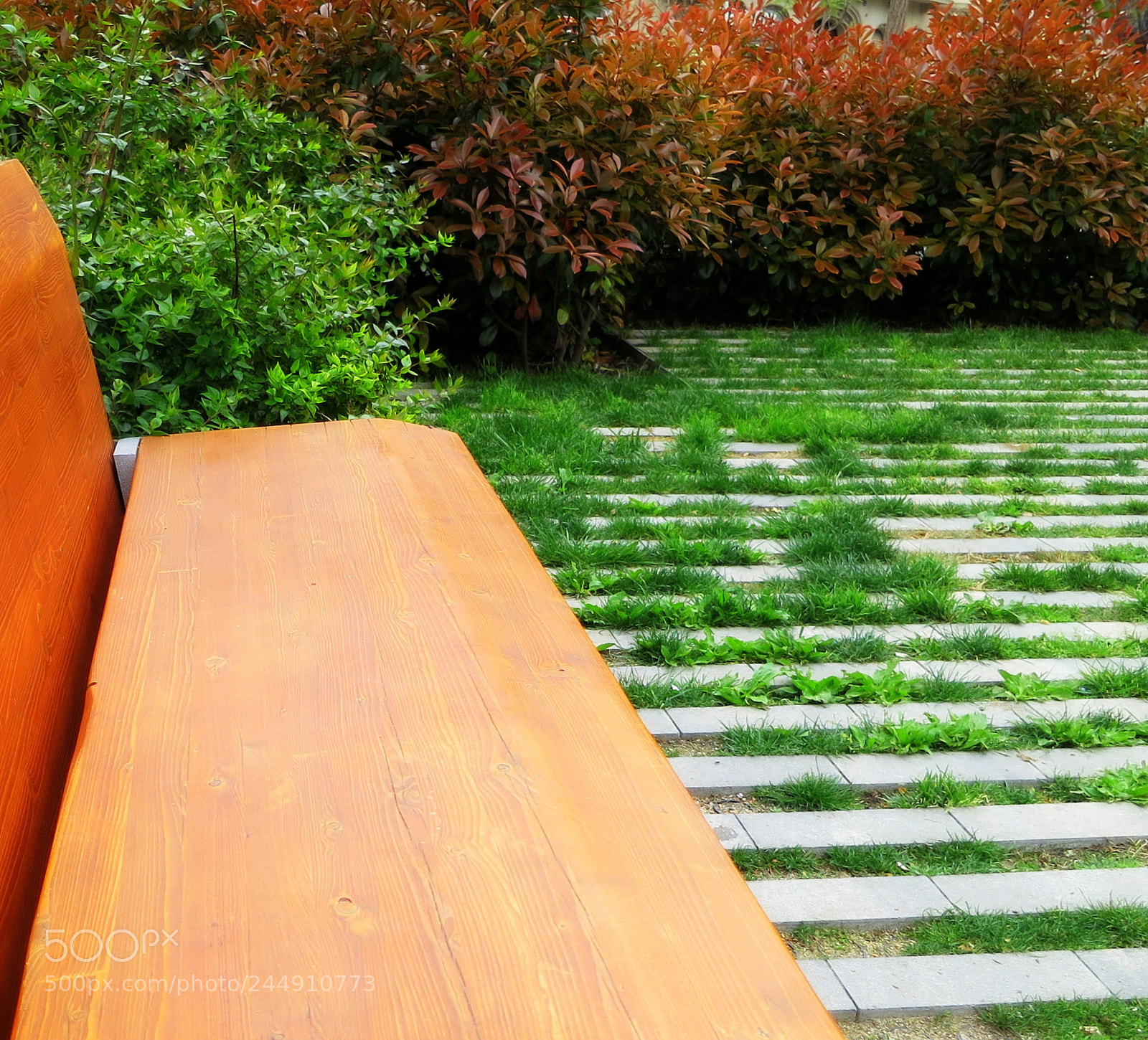 Canon PowerShot S100 sample photo. The bench photography