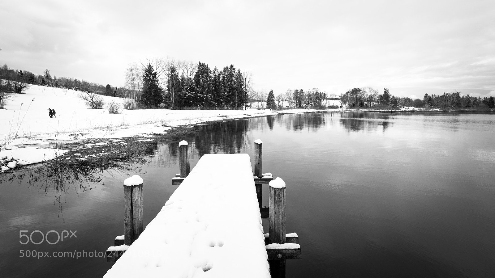 Nikon D850 sample photo. Pf ffikersee lake in photography