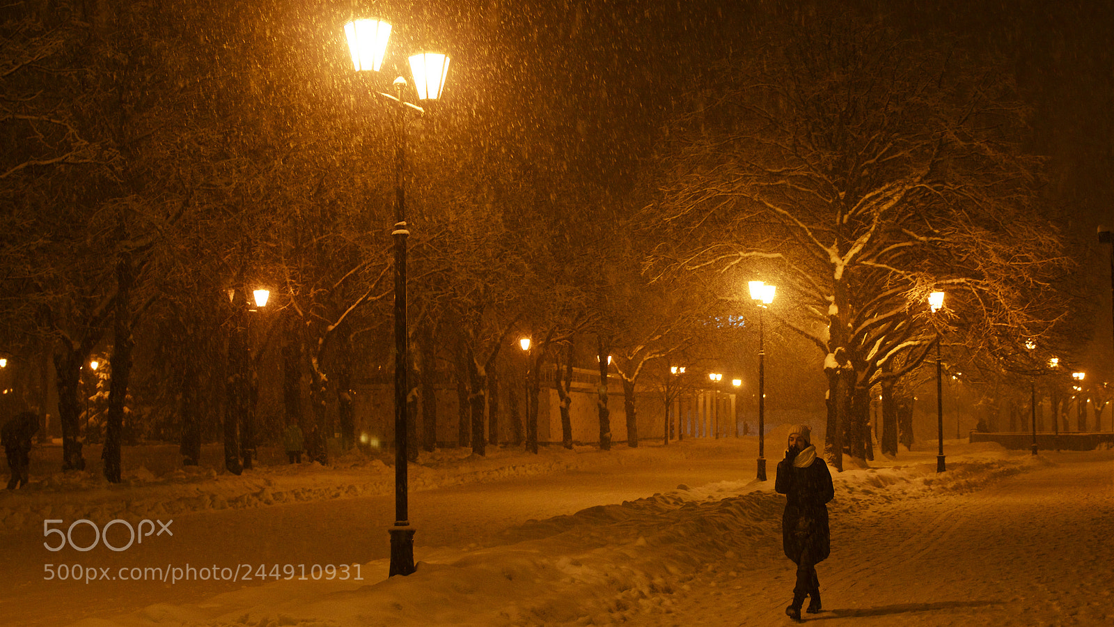 Nikon D5100 sample photo. Winter moscow photography