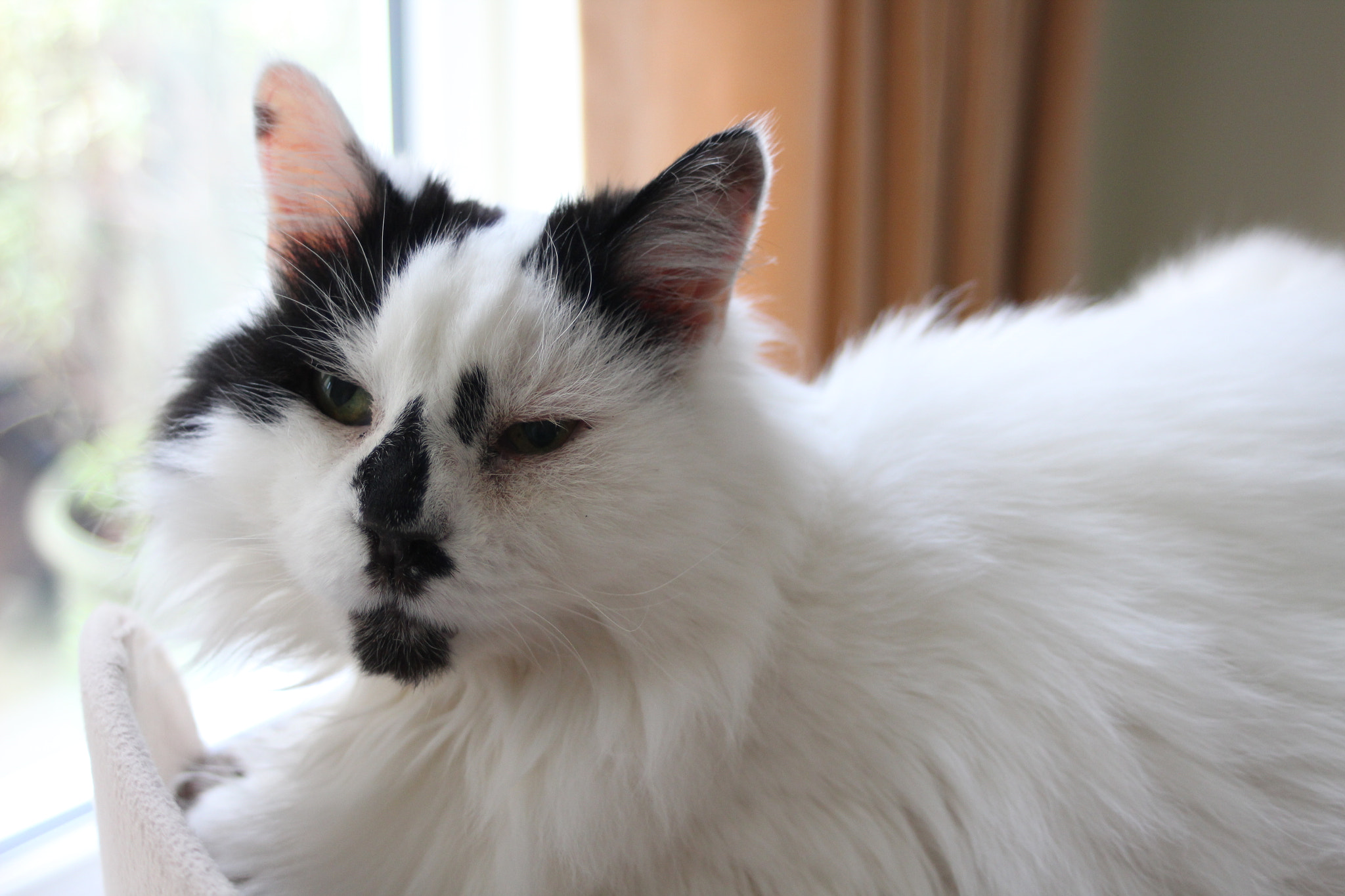 Canon EF 35-70mm f/3.5-4.5 sample photo. Whatsup photography