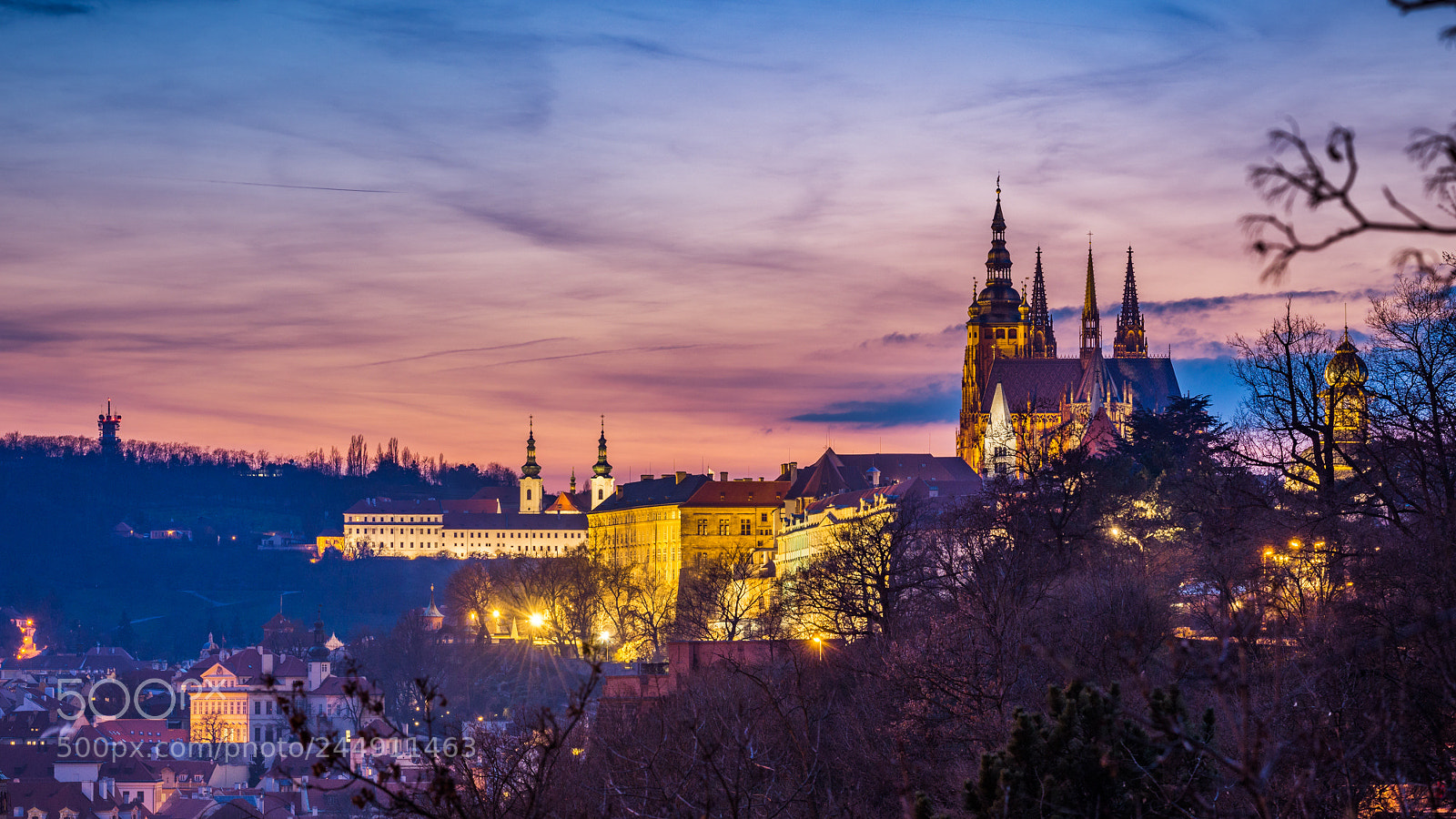 Nikon D610 sample photo. Prager burg bei nacht photography
